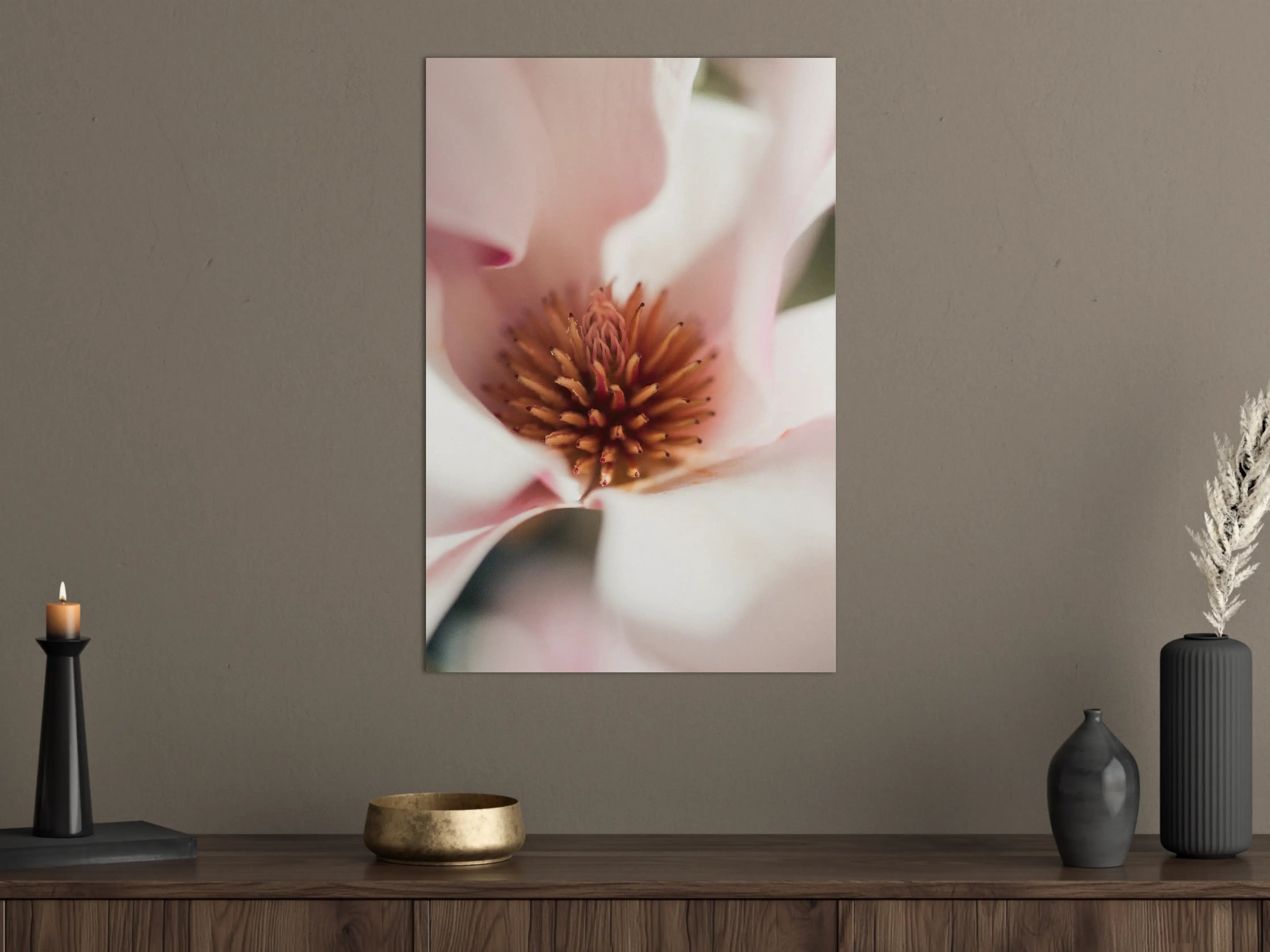 Große Wandbilder - Zarte Magnolia in Nahaufnahme