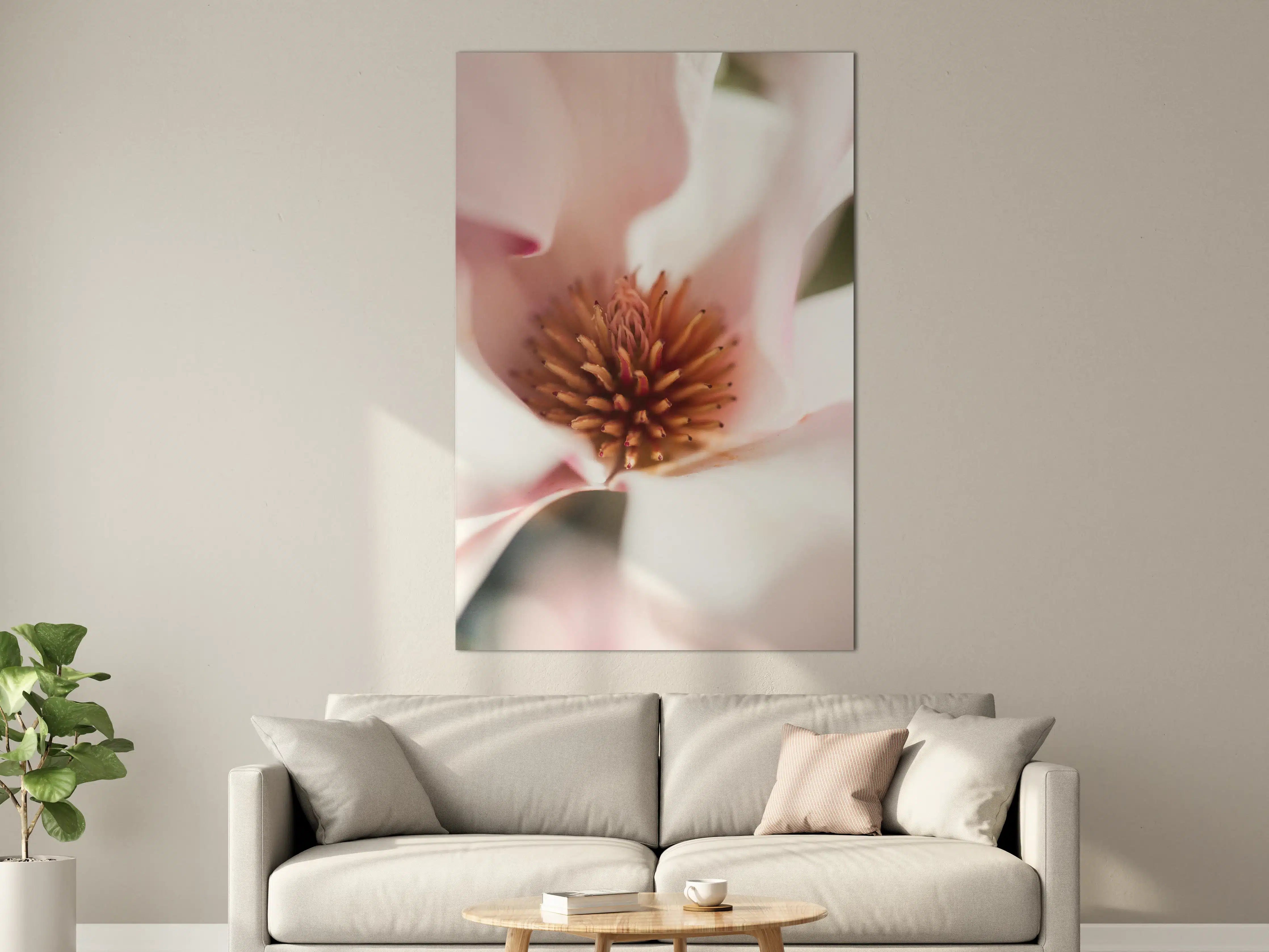 Große Wandbilder - Zarte Magnolia in Nahaufnahme
