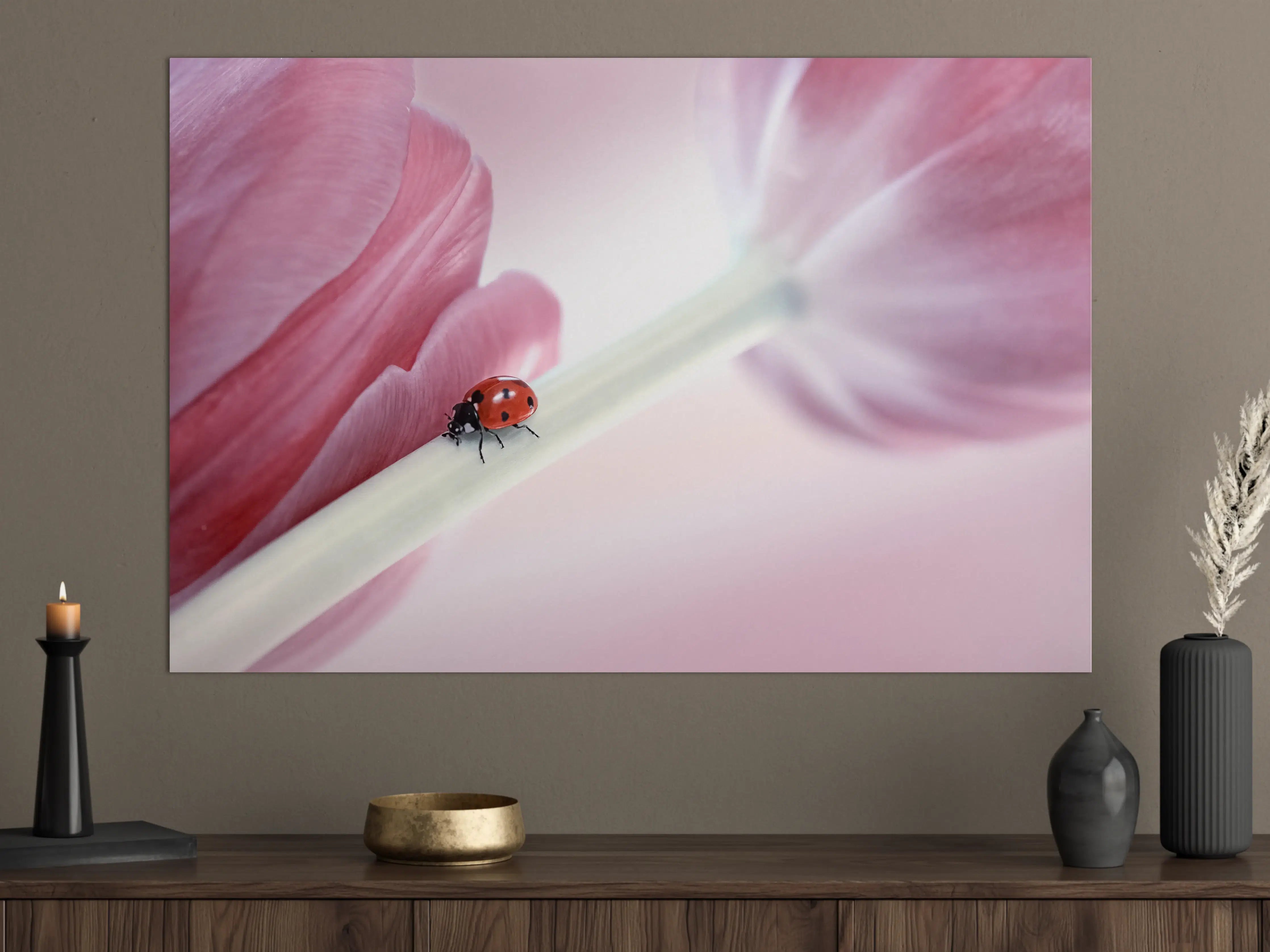 Große Wandbilder - Zarte Tulpen mit Marienkäfer in Rosa Rosa