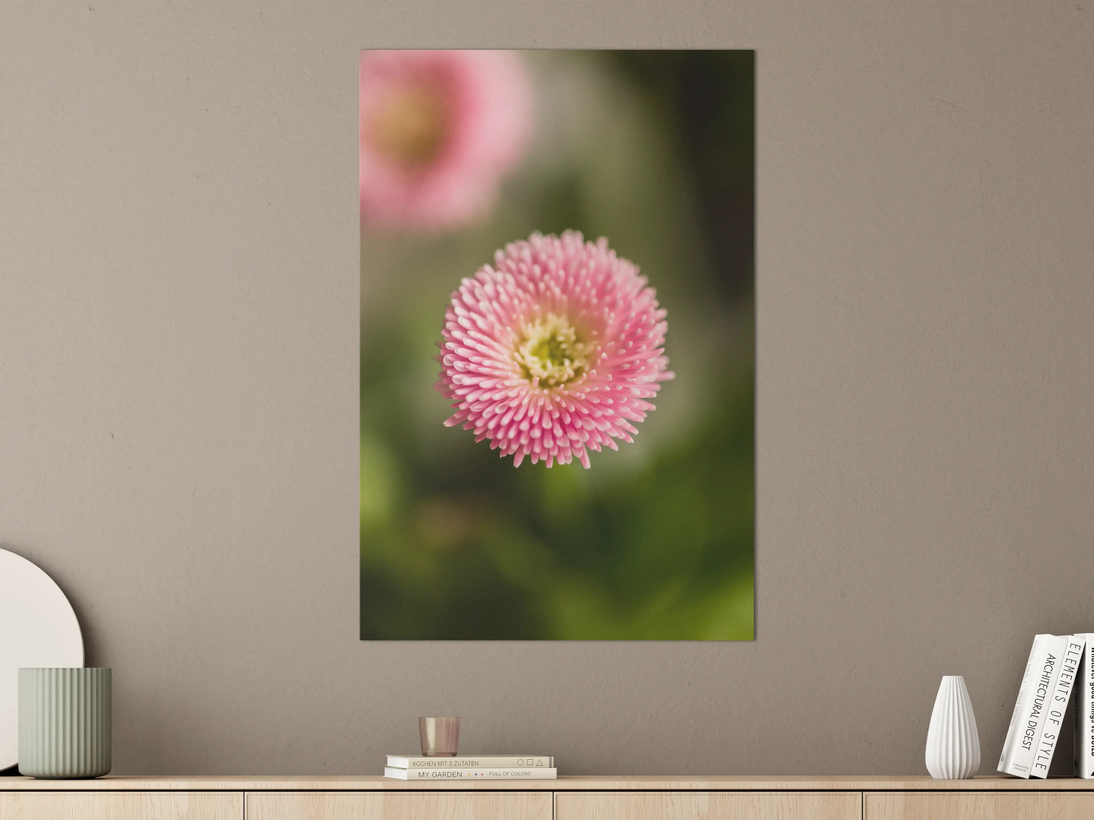 Große Wandbilder - Zarte pinke Blume im Nahaufnahme