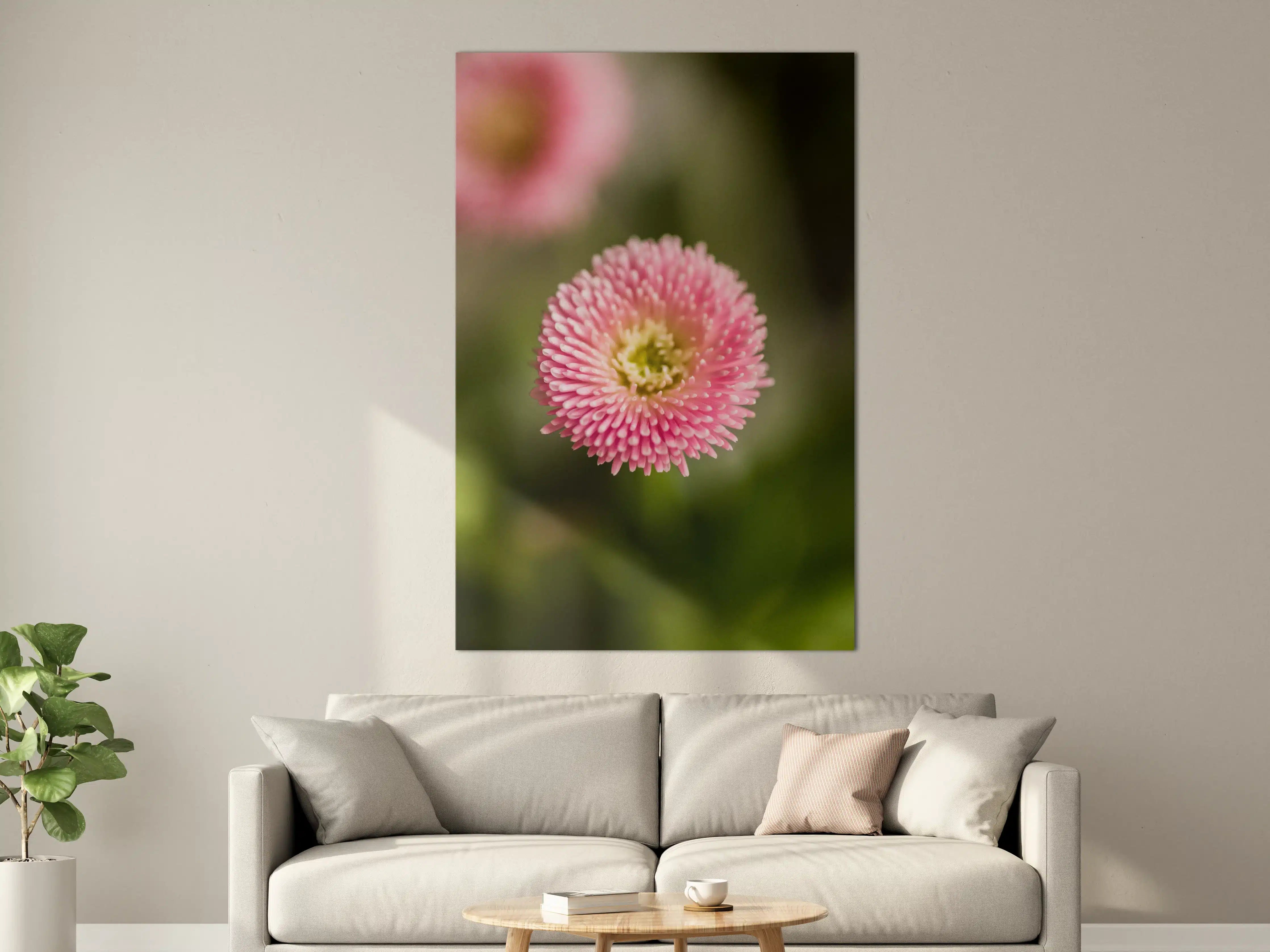 Große Wandbilder - Zarte pinke Blume im Nahaufnahme