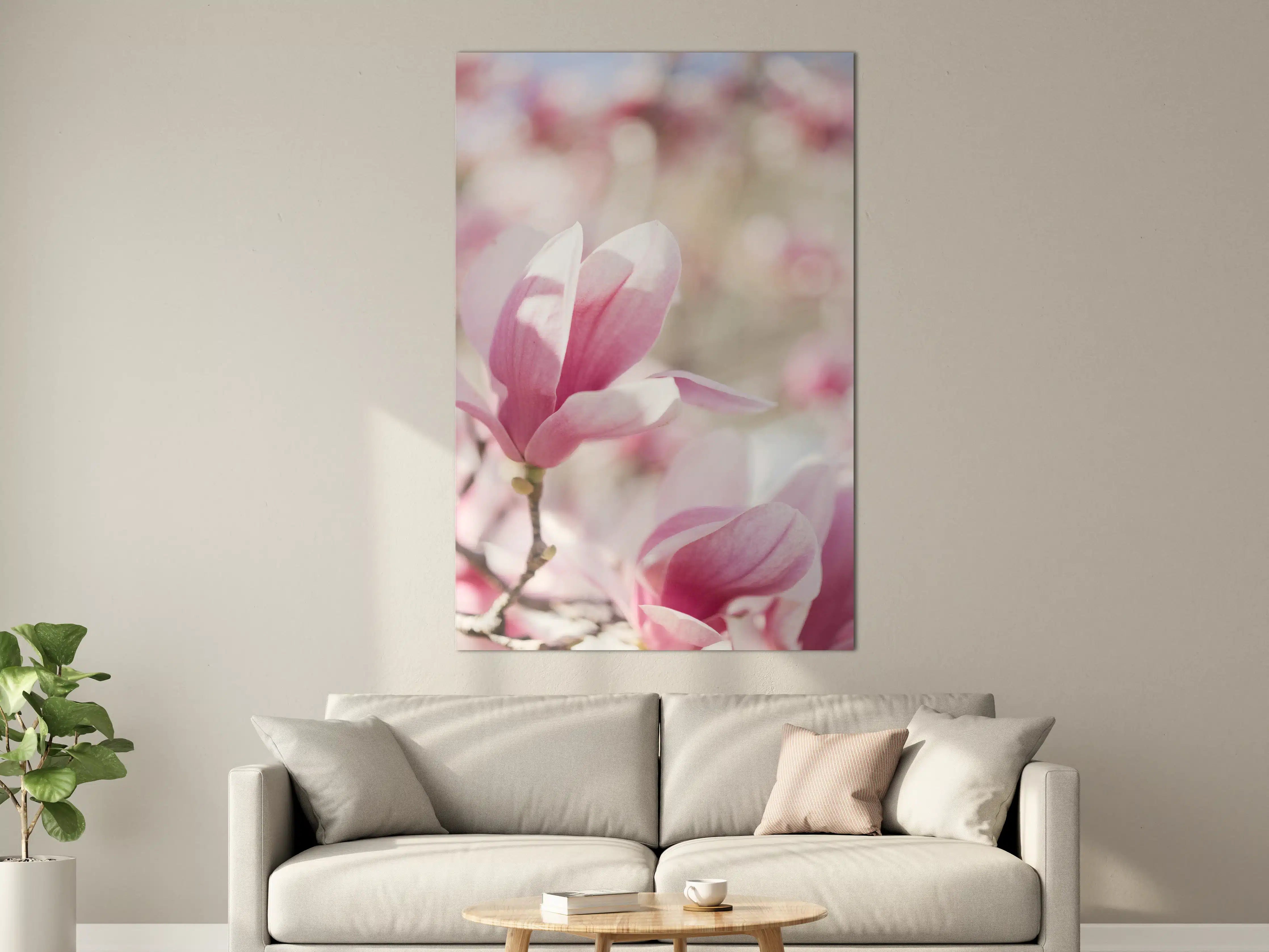 Große Wandbilder - Zarte rosa Magnolie