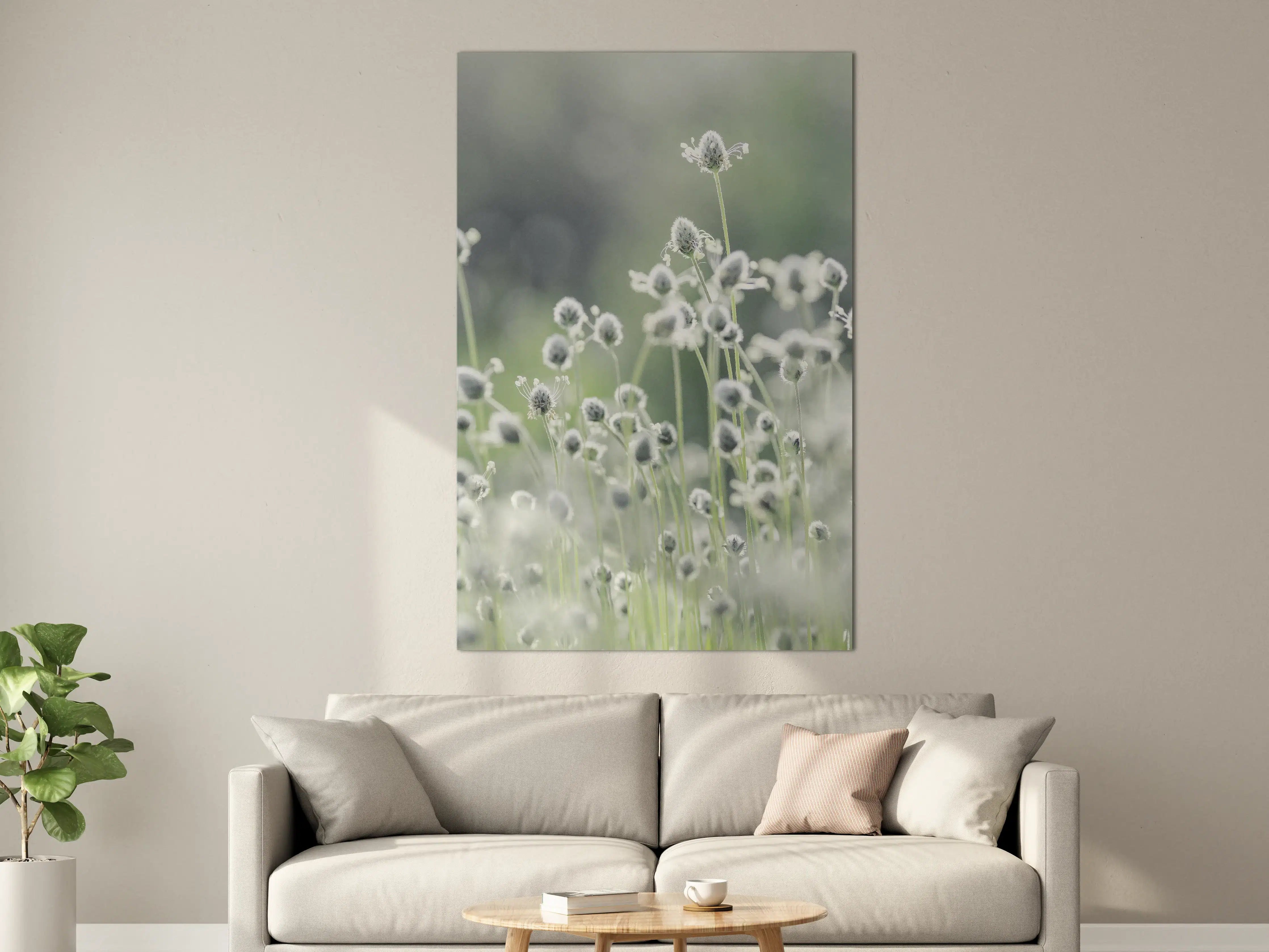 Große Wandbilder - Zarte wildwachsende Blumen im Morgengrauen