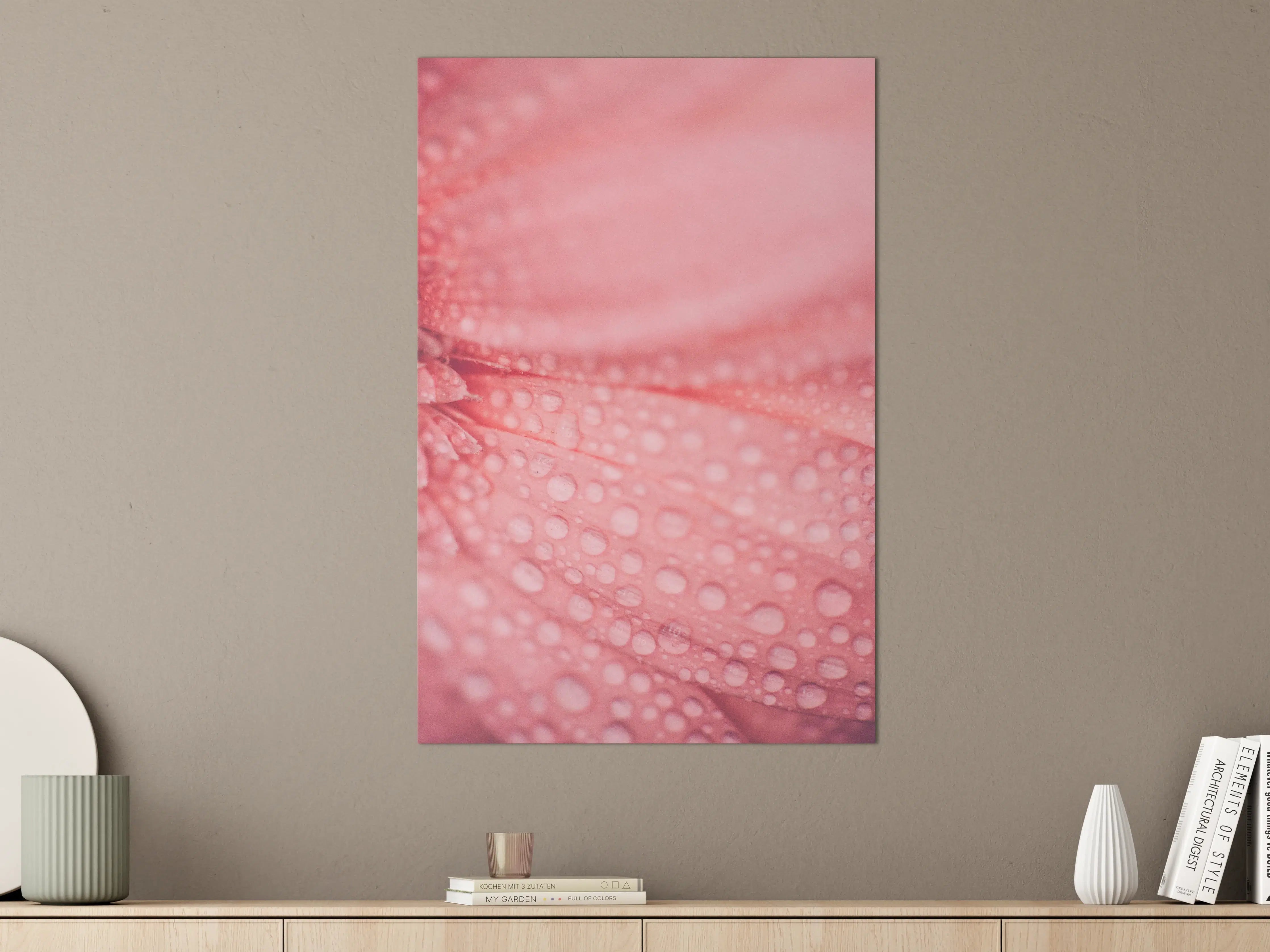 Große Wandbilder - Zartrosa Blumenblüte mit Wassertröpfchen
