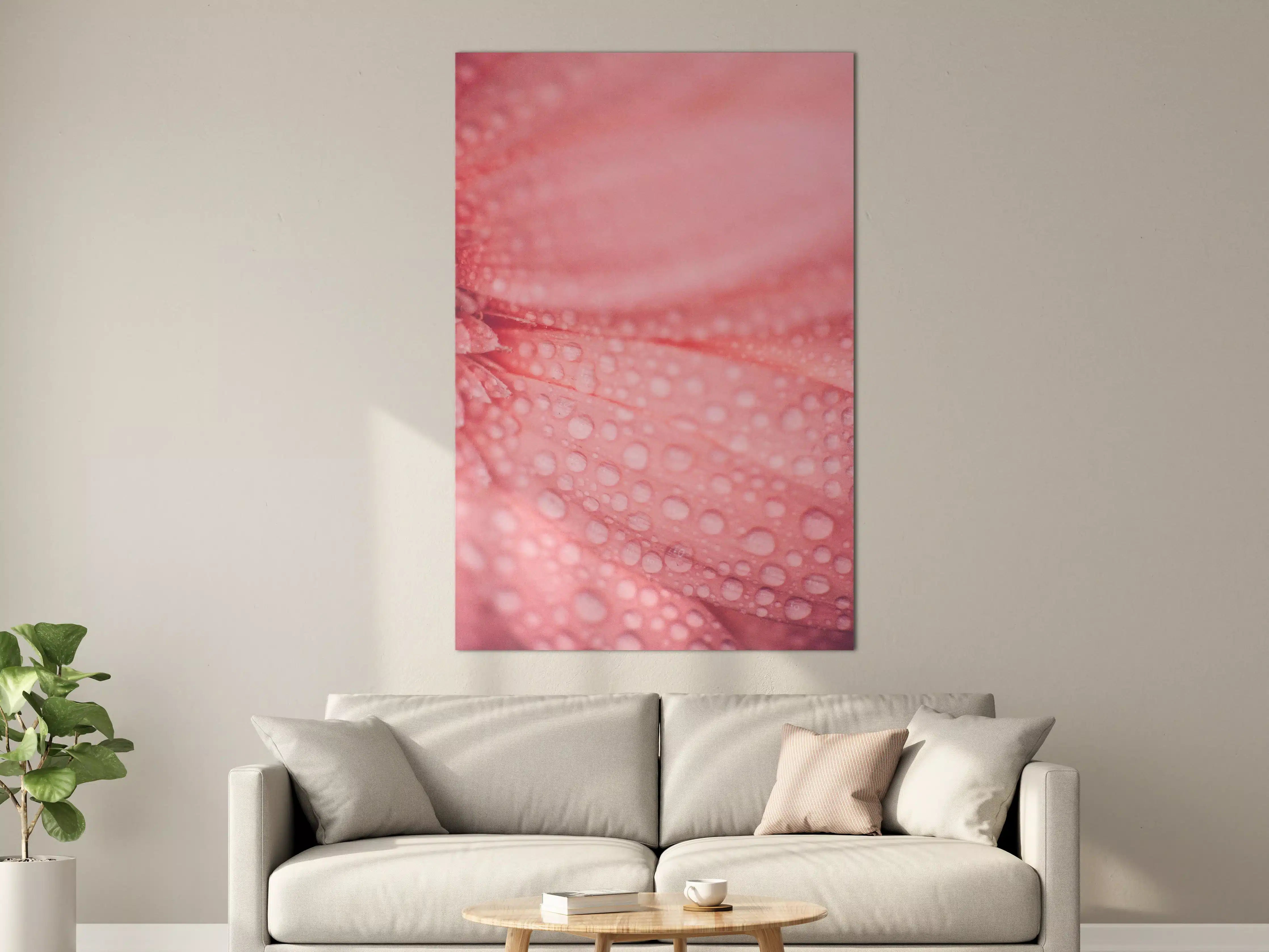 Große Wandbilder - Zartrosa Blumenblüte mit Wassertröpfchen