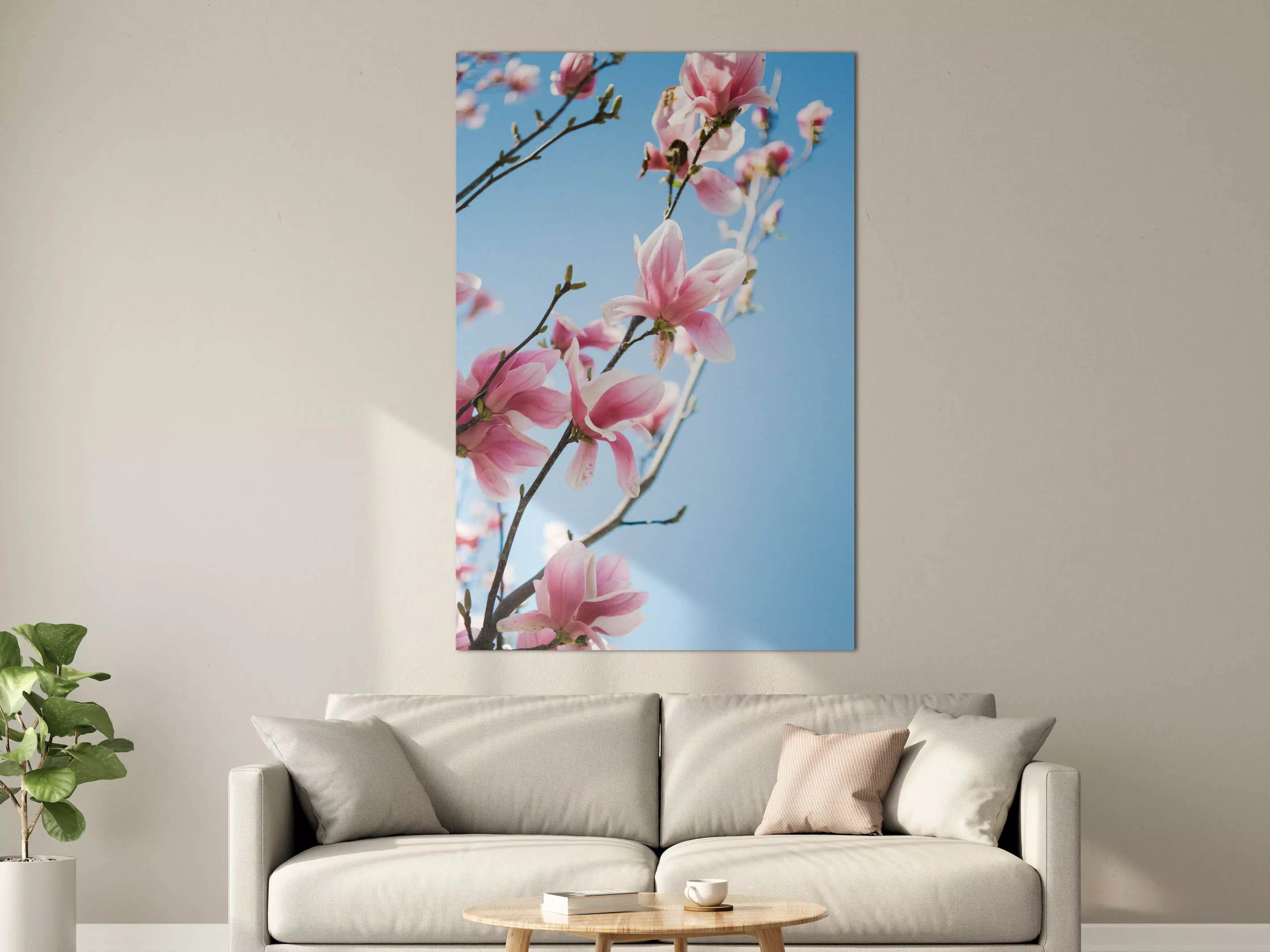 Große Wandbilder - Zartrosa Magnolienblüten vor blauem Himmel