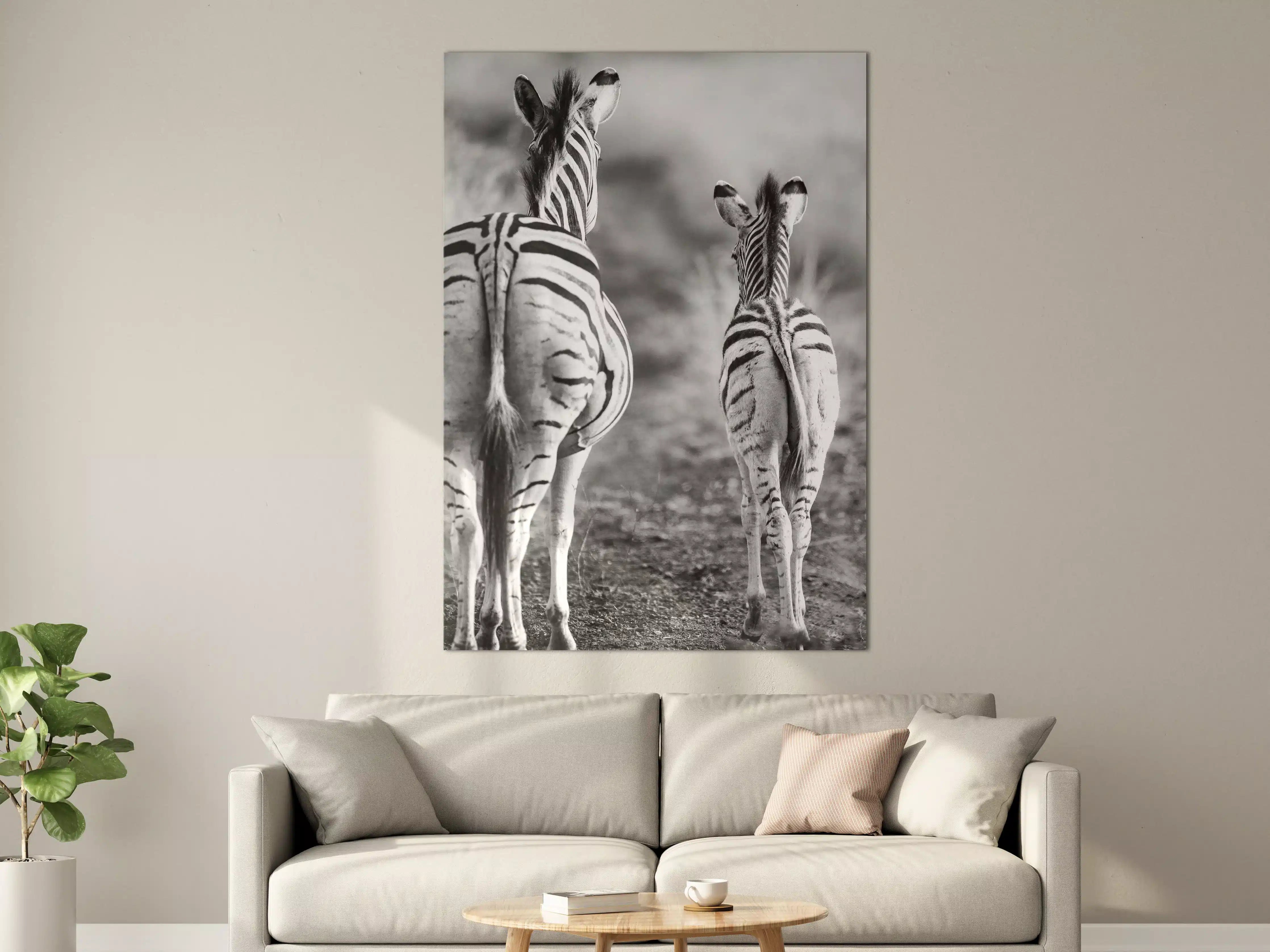 Große Wandbilder - Zebra - schwarz-weiß