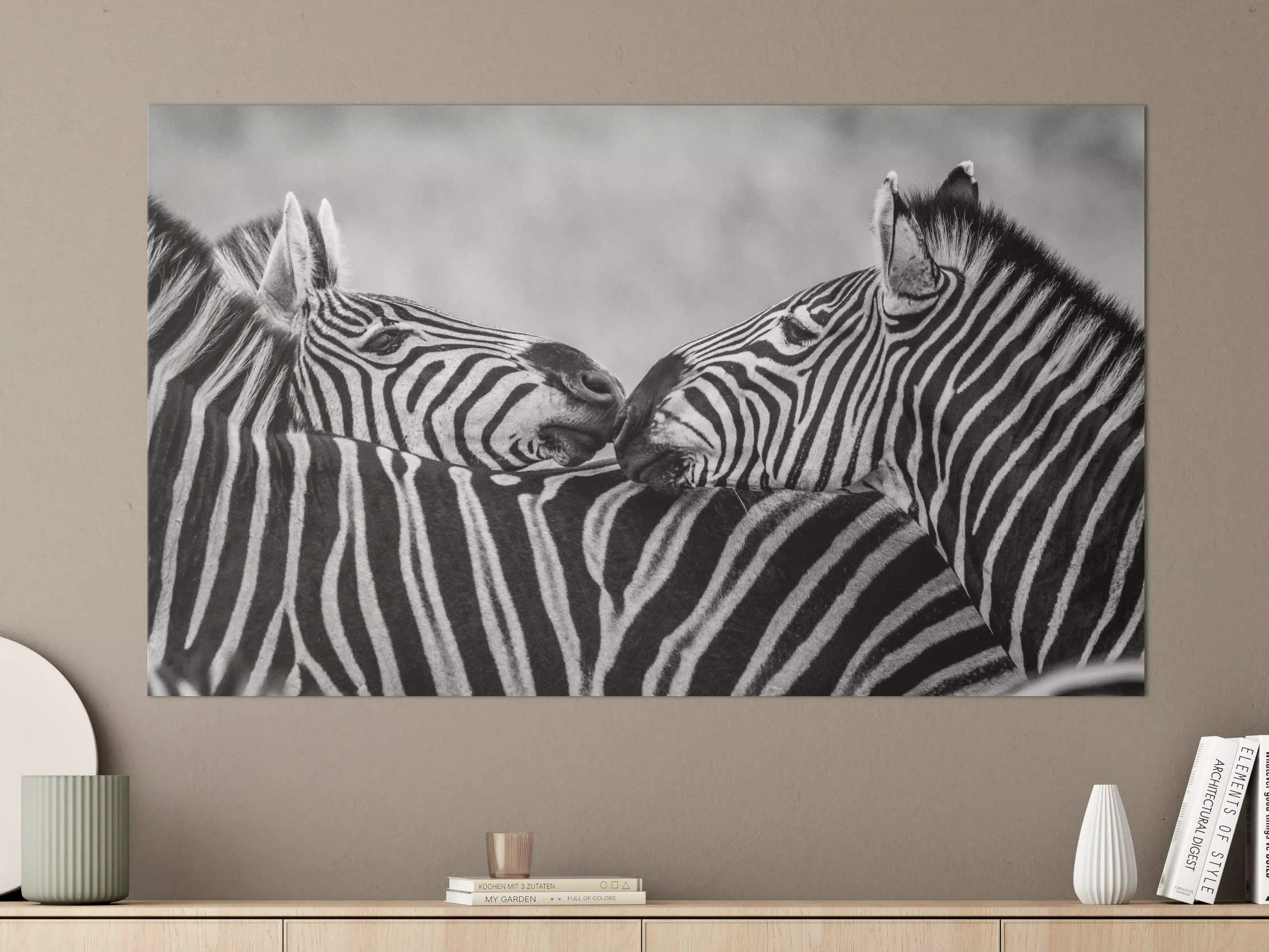 Große Wandbilder - Zebras - Schwarz-weiß