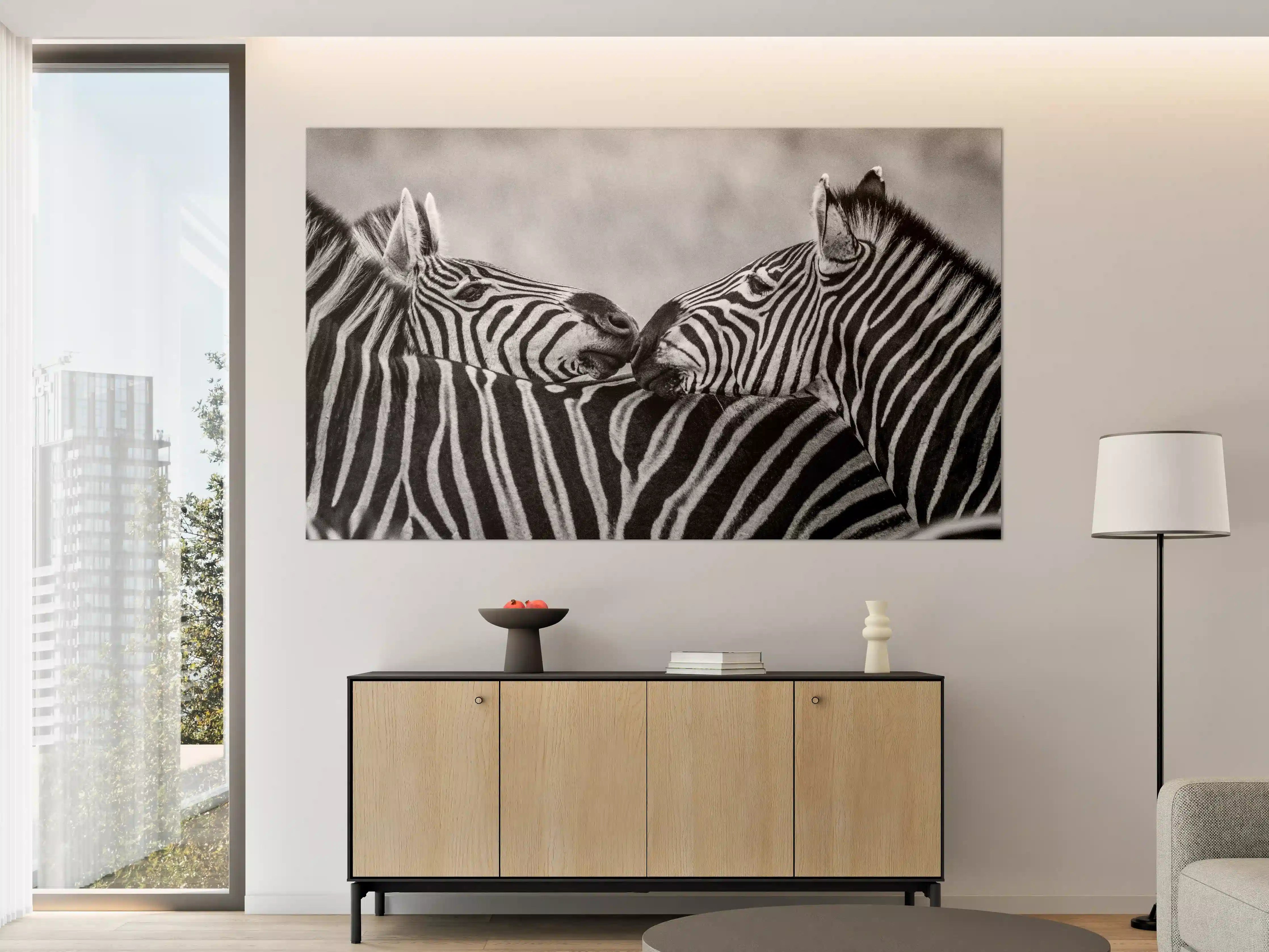 Große Wandbilder - Zebras - Schwarz-weiß