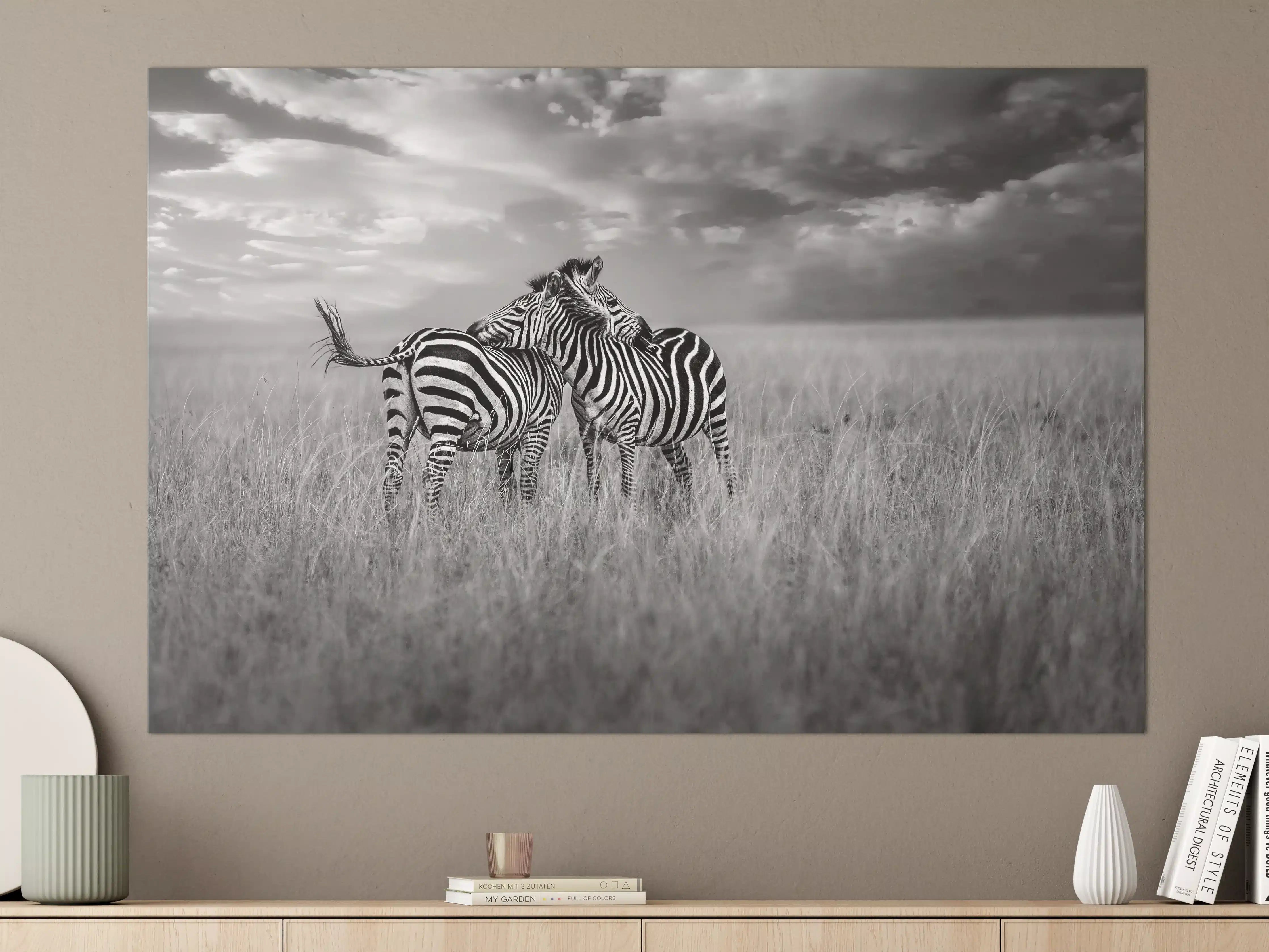 Große Wandbilder - Zebras in ihrer Natur - Savanne
