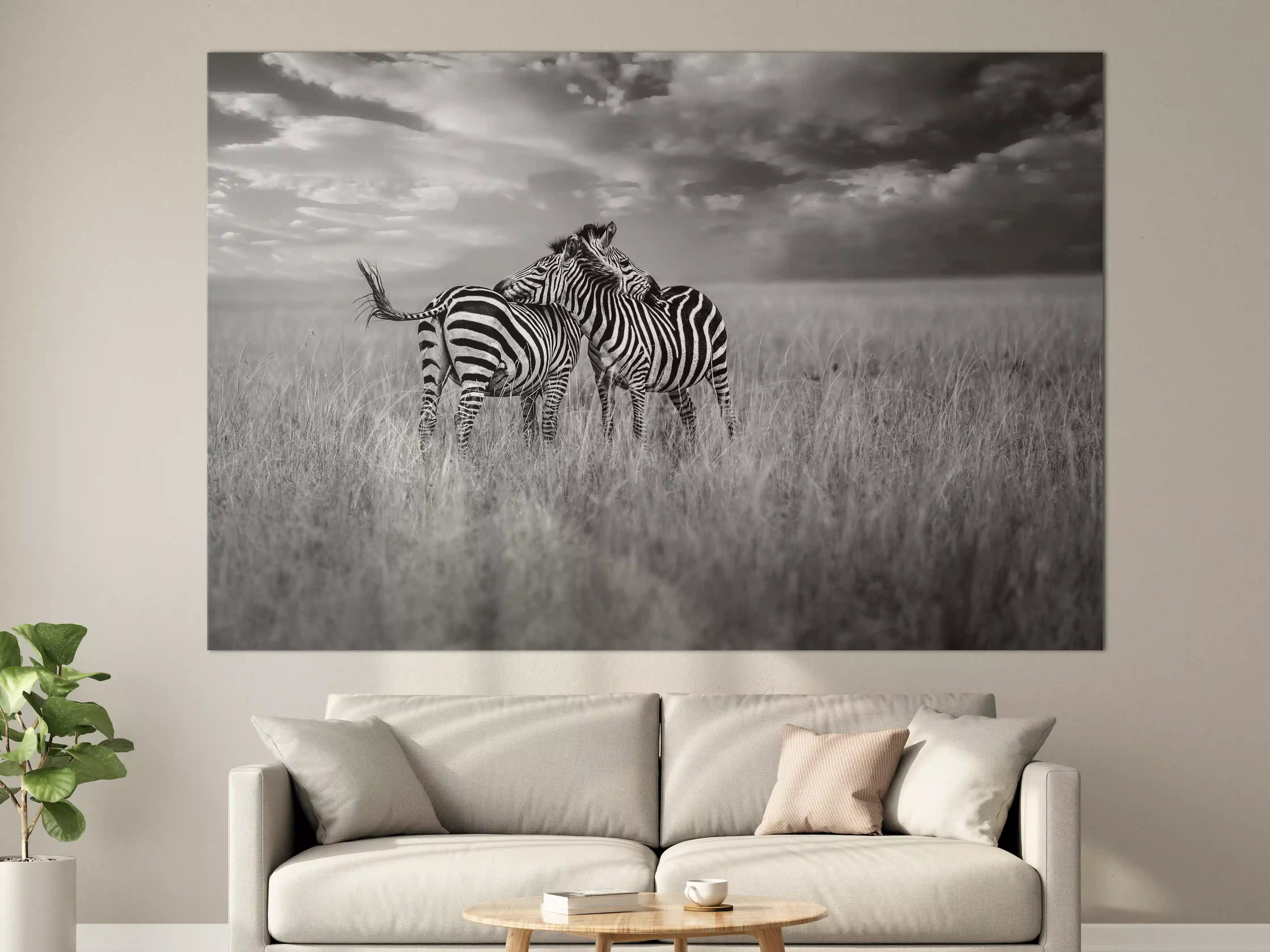Große Wandbilder - Zebras in ihrer Natur - Savanne