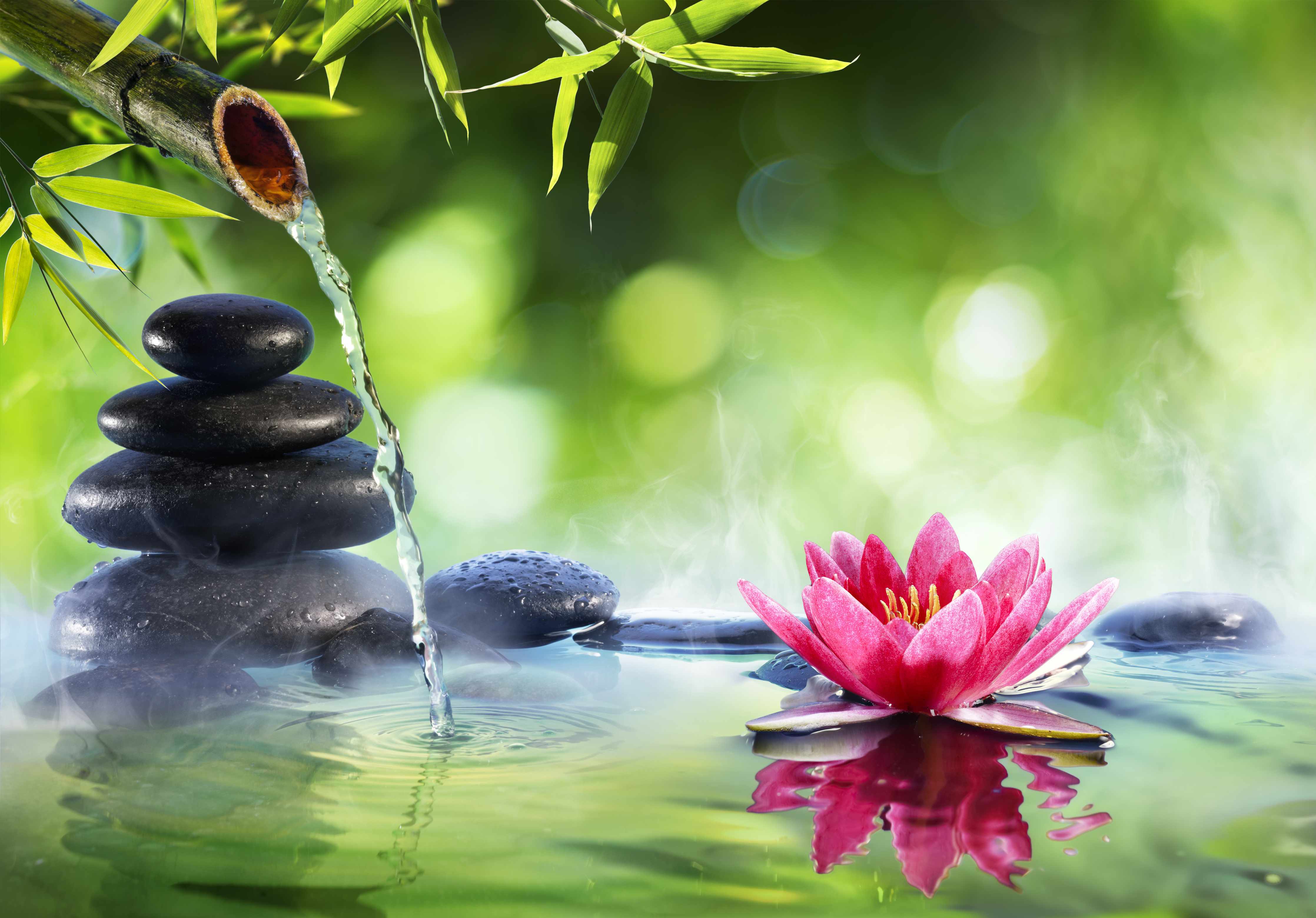 Große Wandbilder-Zen-Steine mit Lotusblüte
