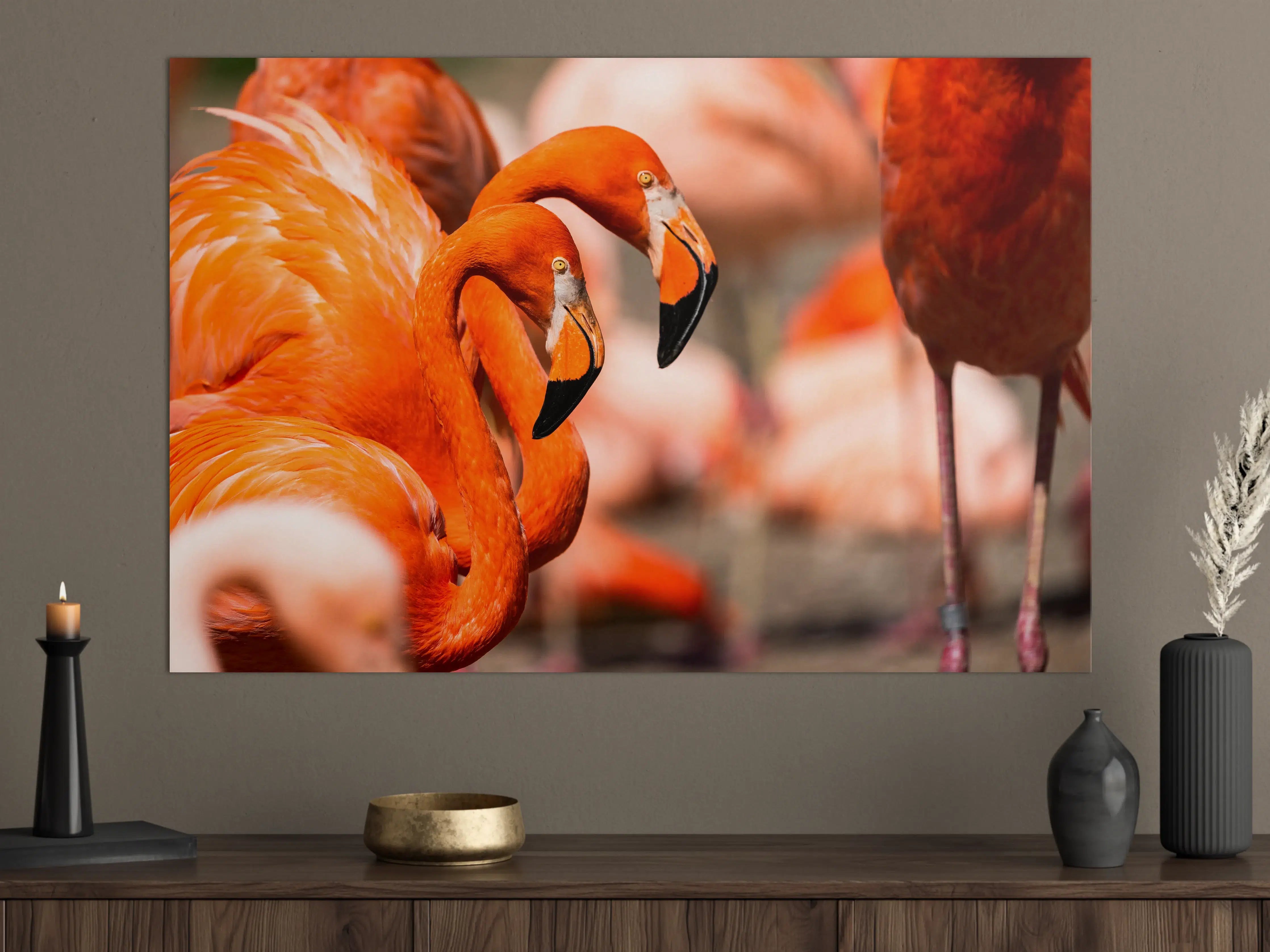 Große Wandbilder - Zwei Flamingos in der Herde