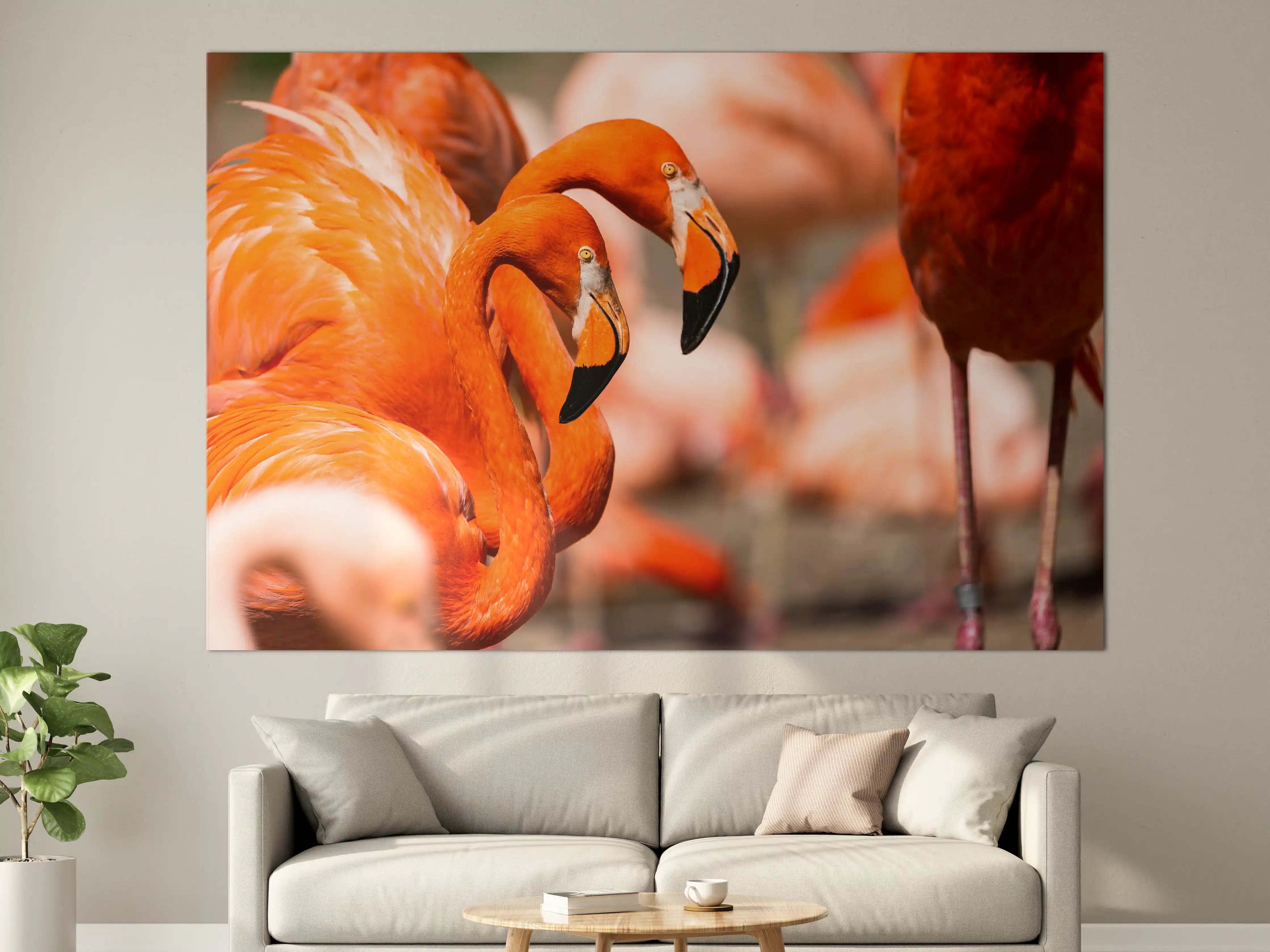 Große Wandbilder - Zwei Flamingos in der Herde