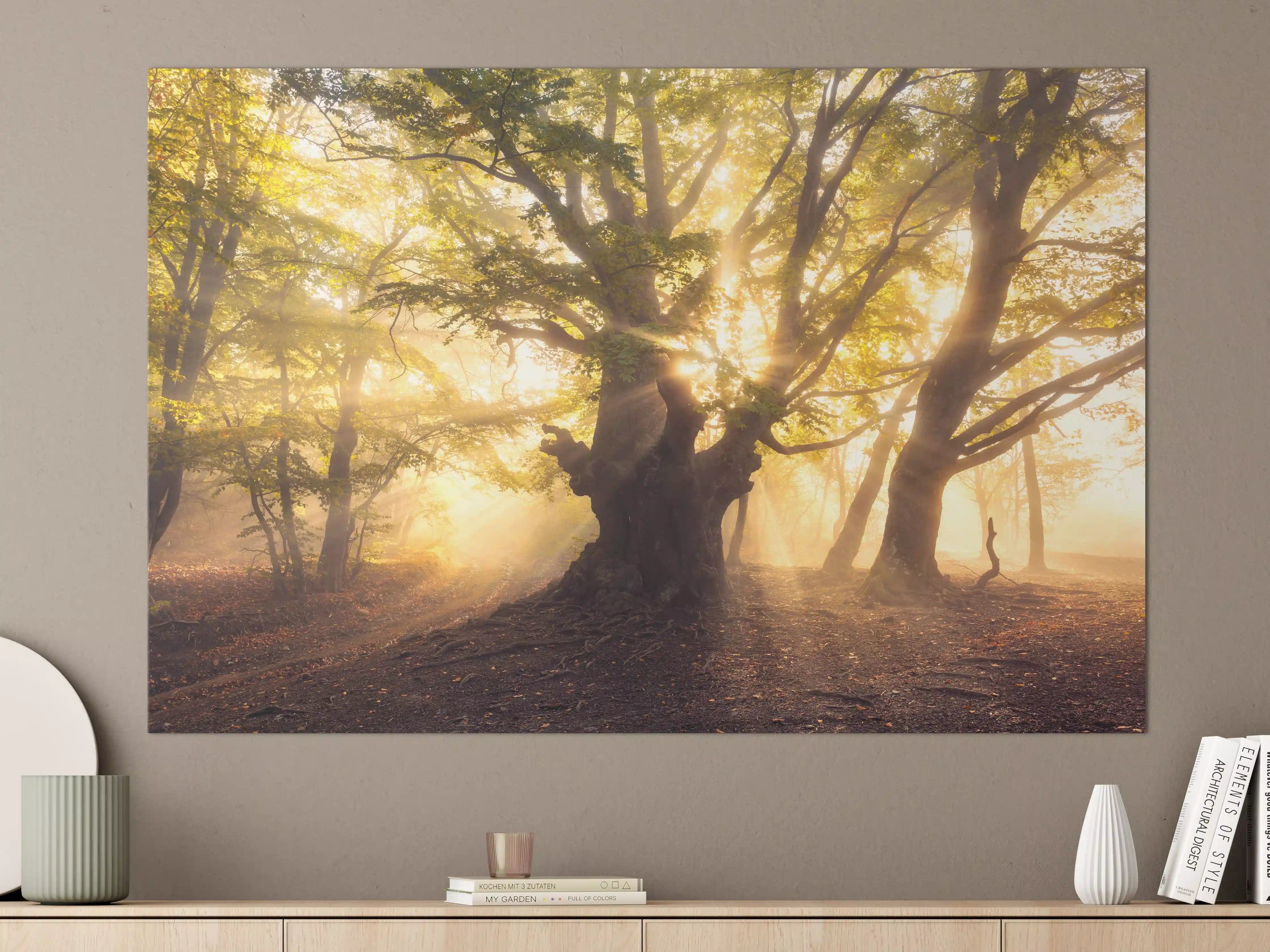 Große Wandbilder - alter Baum bei Sonnenaufgang im Nebel