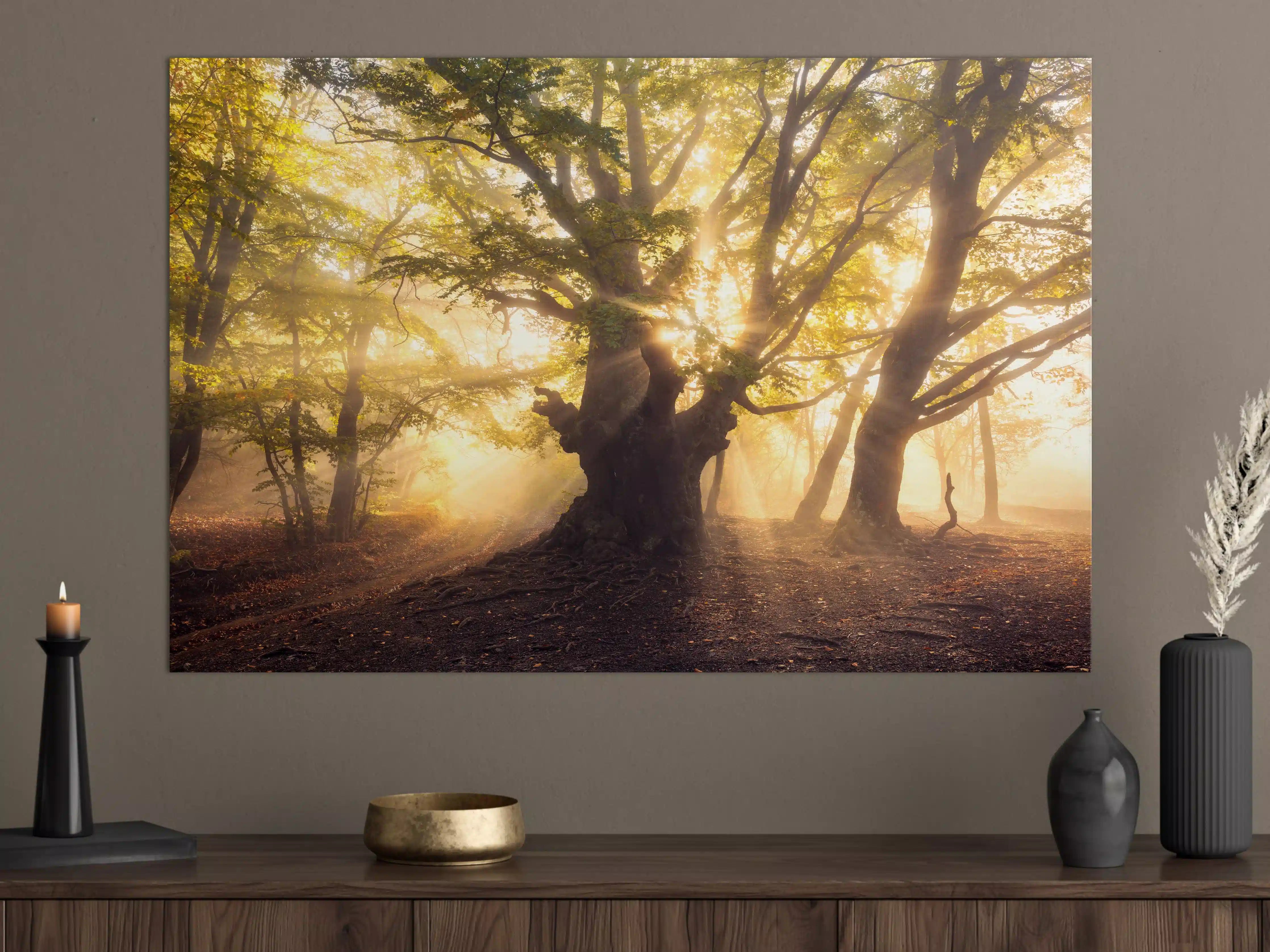 Große Wandbilder - alter Baum bei Sonnenaufgang im Nebel