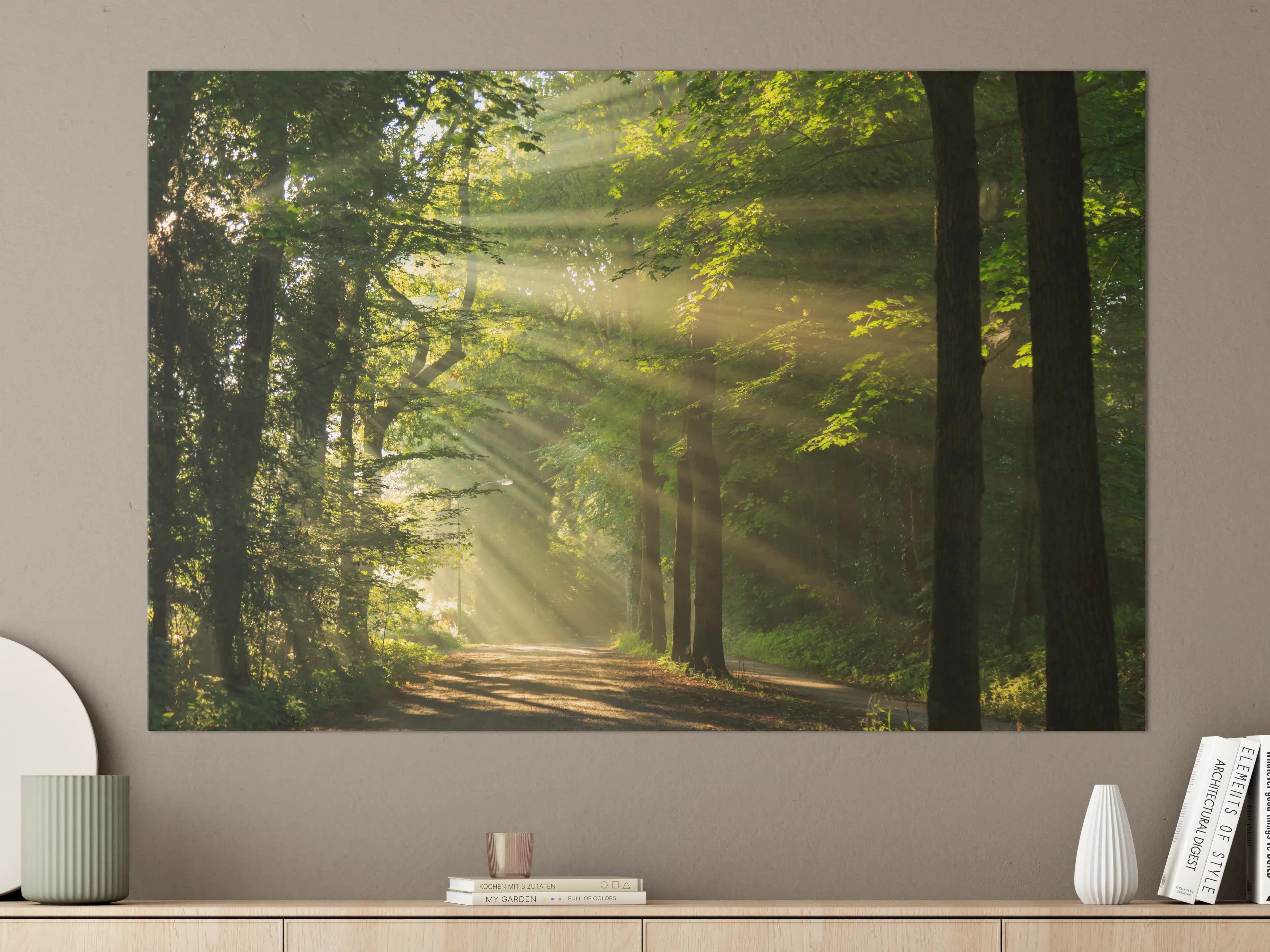 Große Wandbilder - erleuchtende Sonnenstrahlen in den Wald 