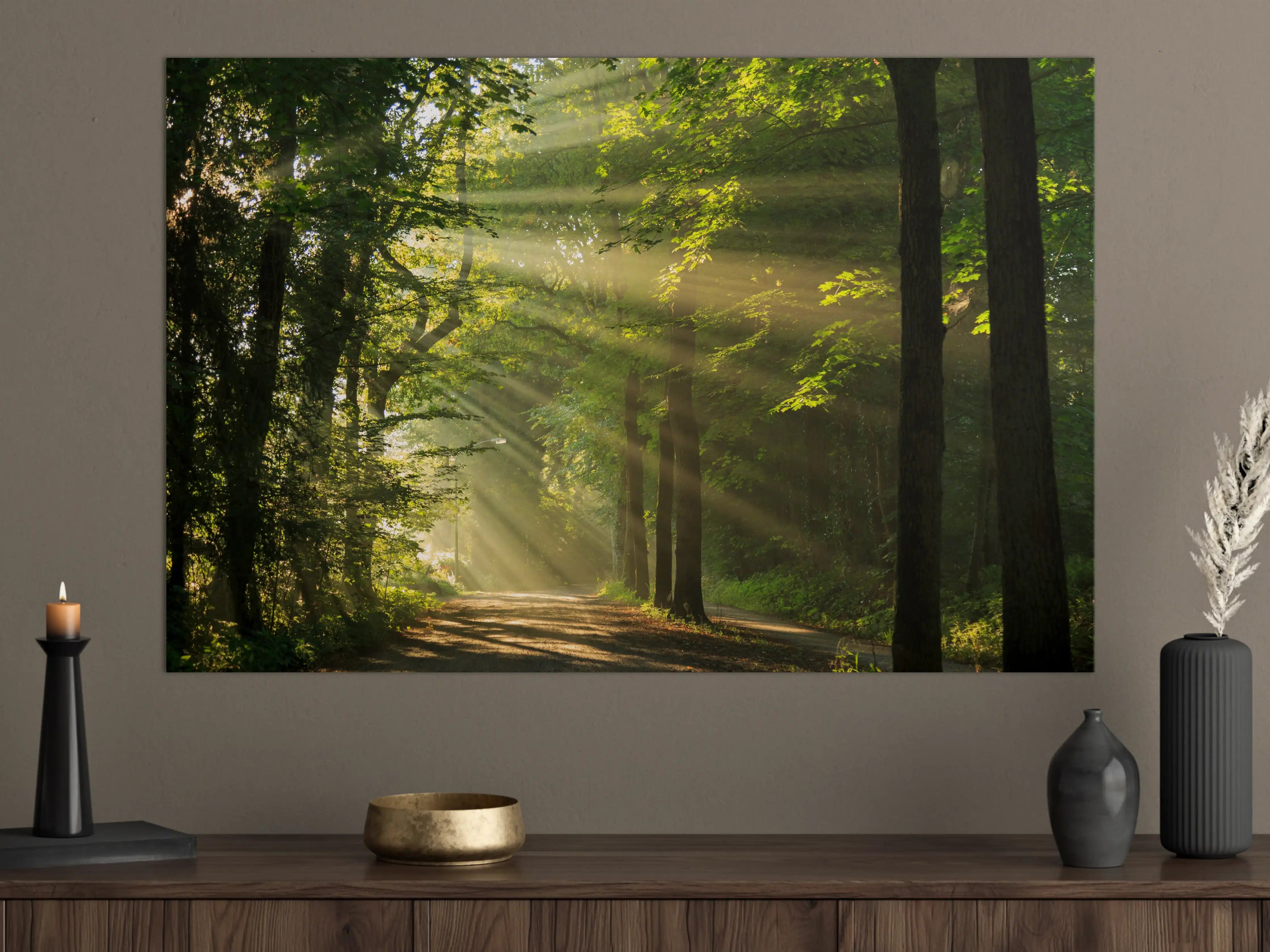 Große Wandbilder - erleuchtende Sonnenstrahlen in den Wald 