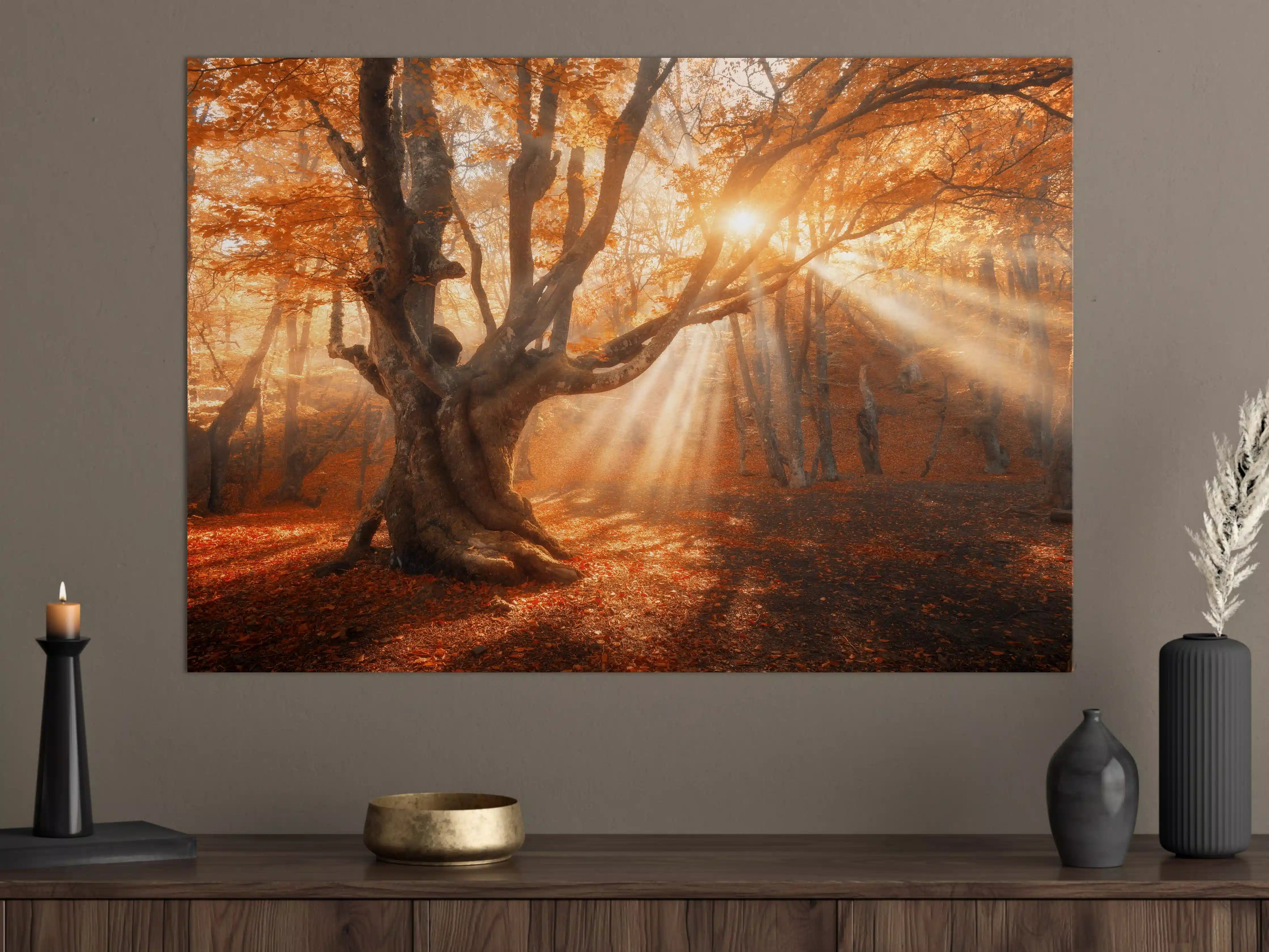 Große Wandbilder - magischer alter Baum im Herbst