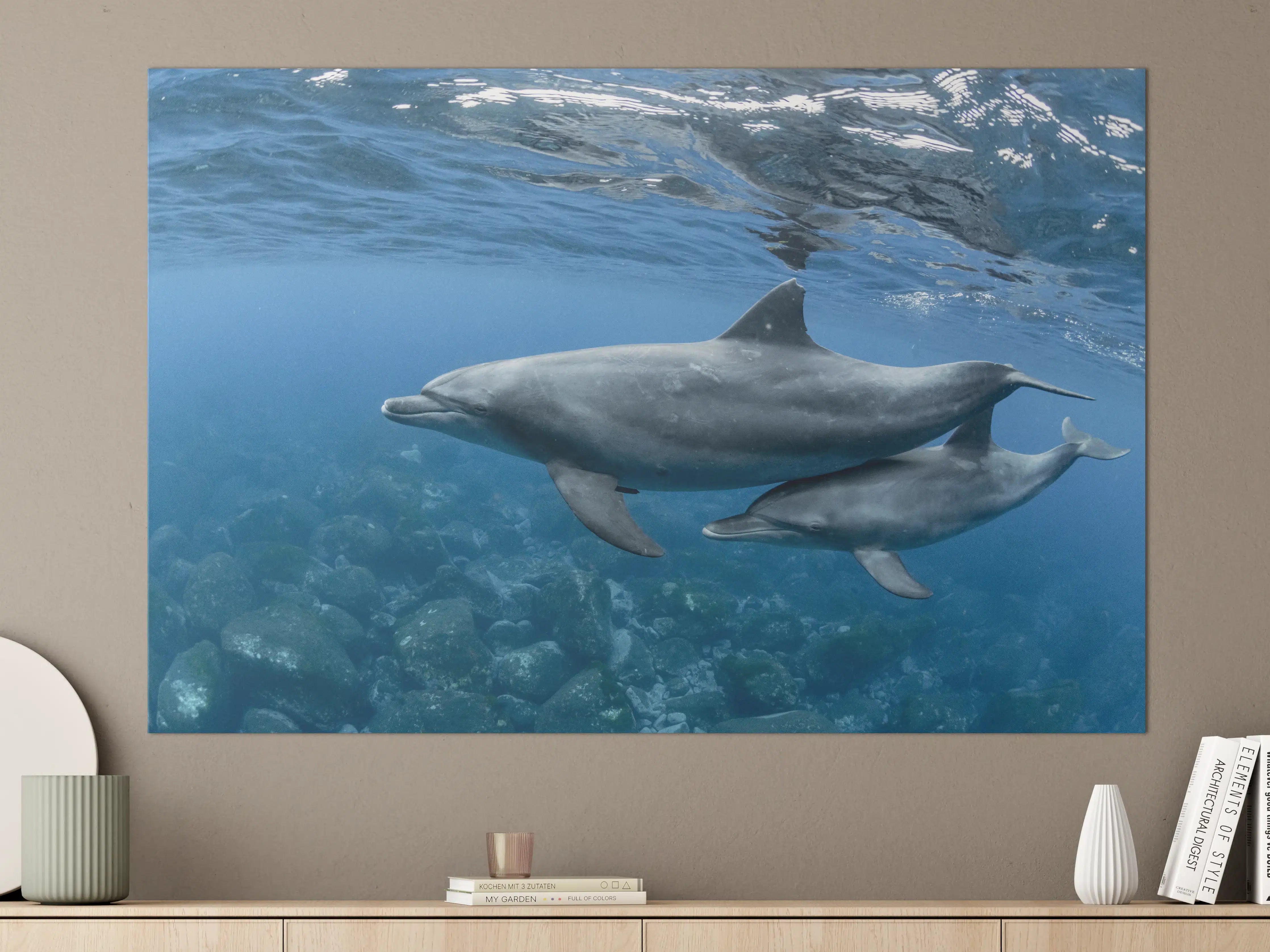 Große Wandbilder - niedliche Delfin-Familie