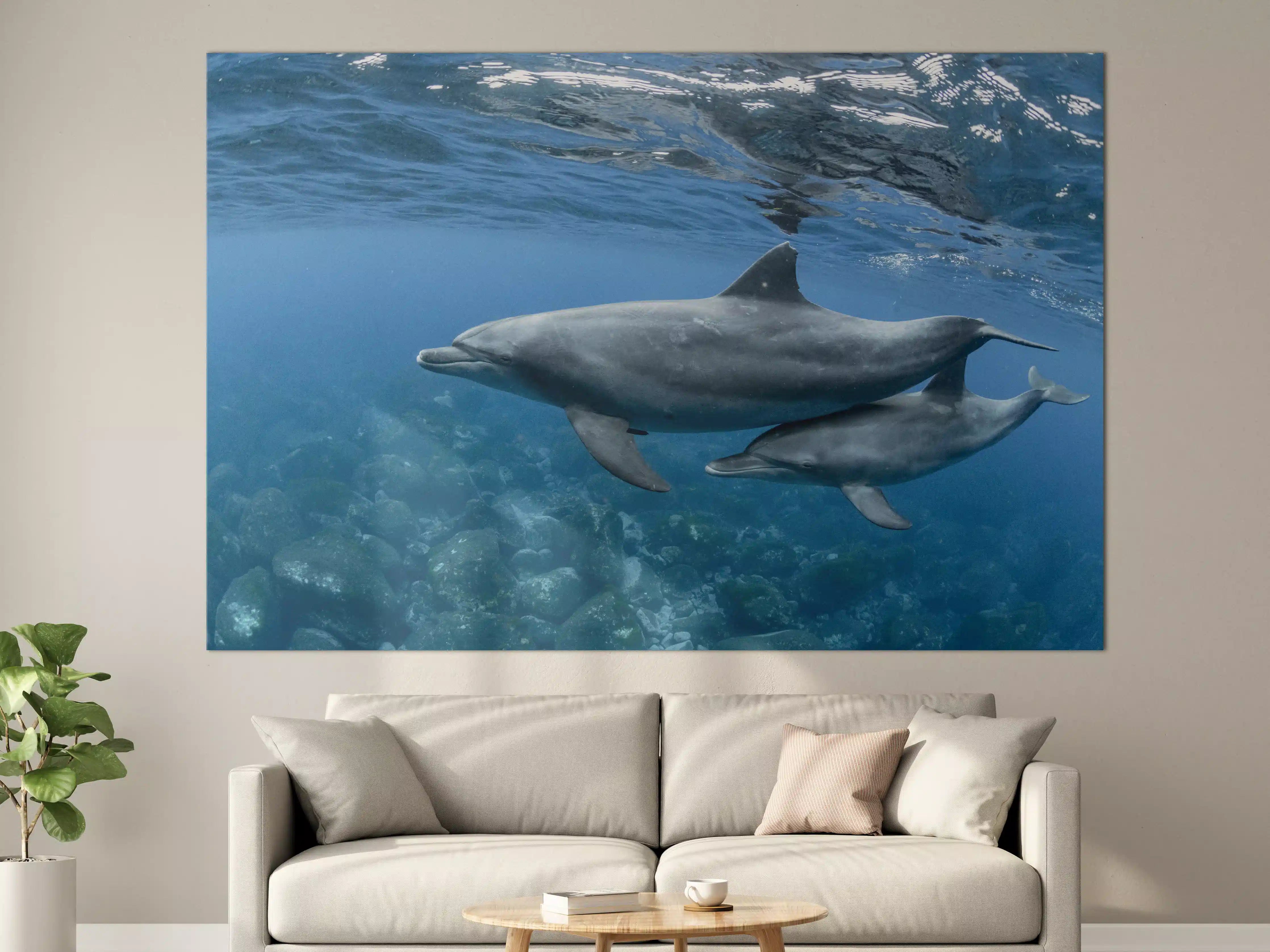 Große Wandbilder - niedliche Delfin-Familie