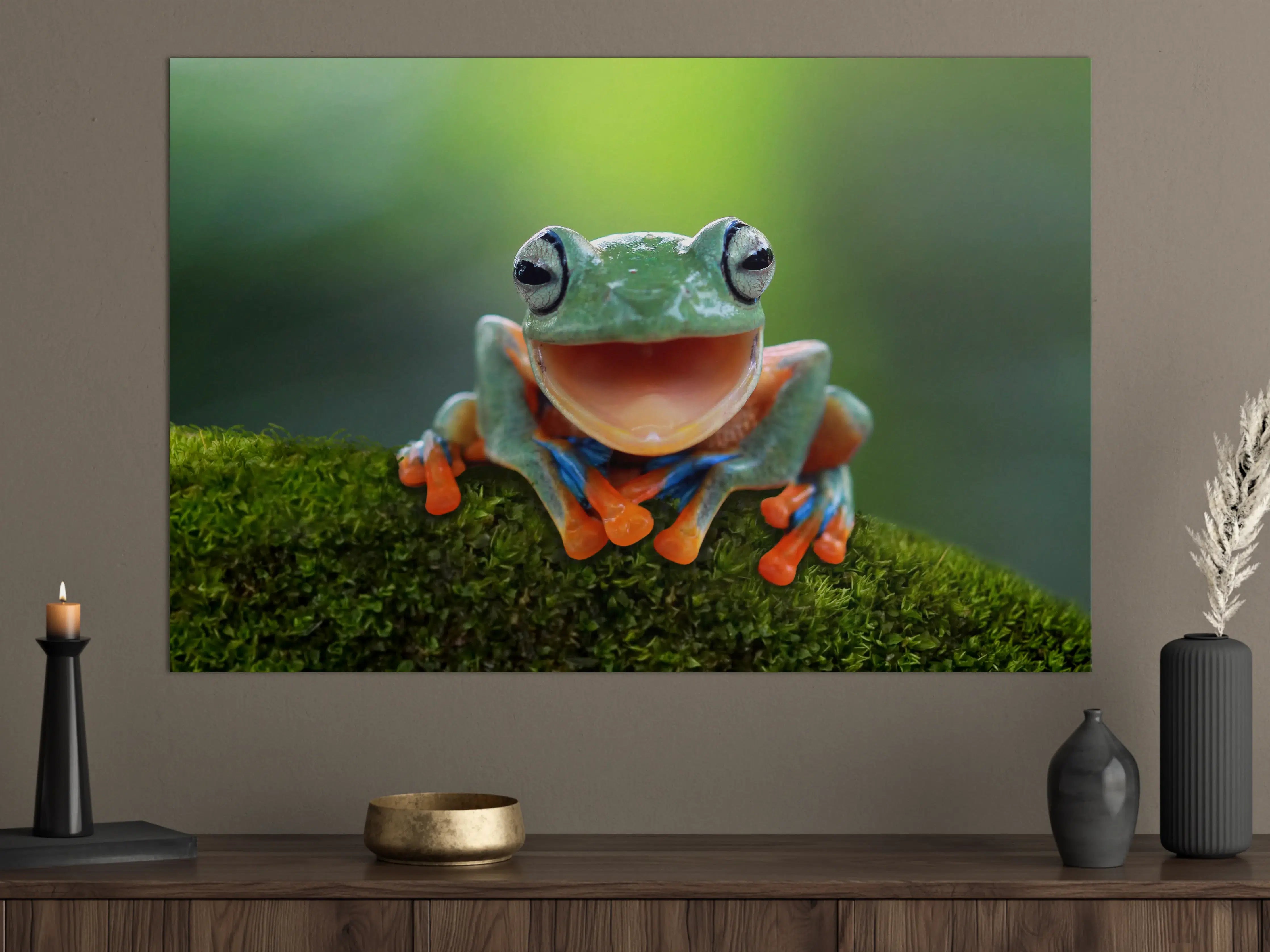 Große Wandbilder - niedlicher Laubfrosch in Nahaufnahme