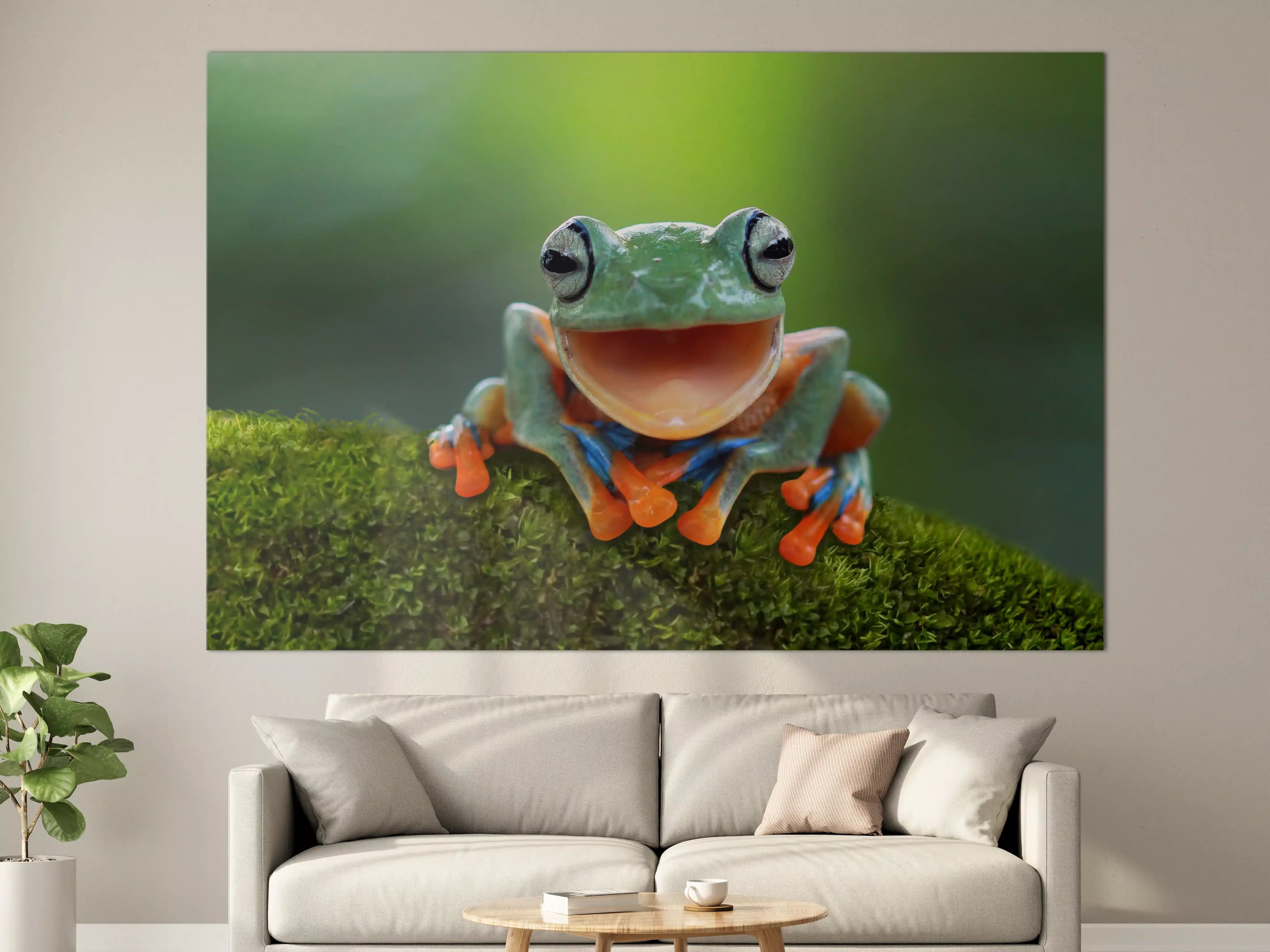 Große Wandbilder - niedlicher Laubfrosch in Nahaufnahme