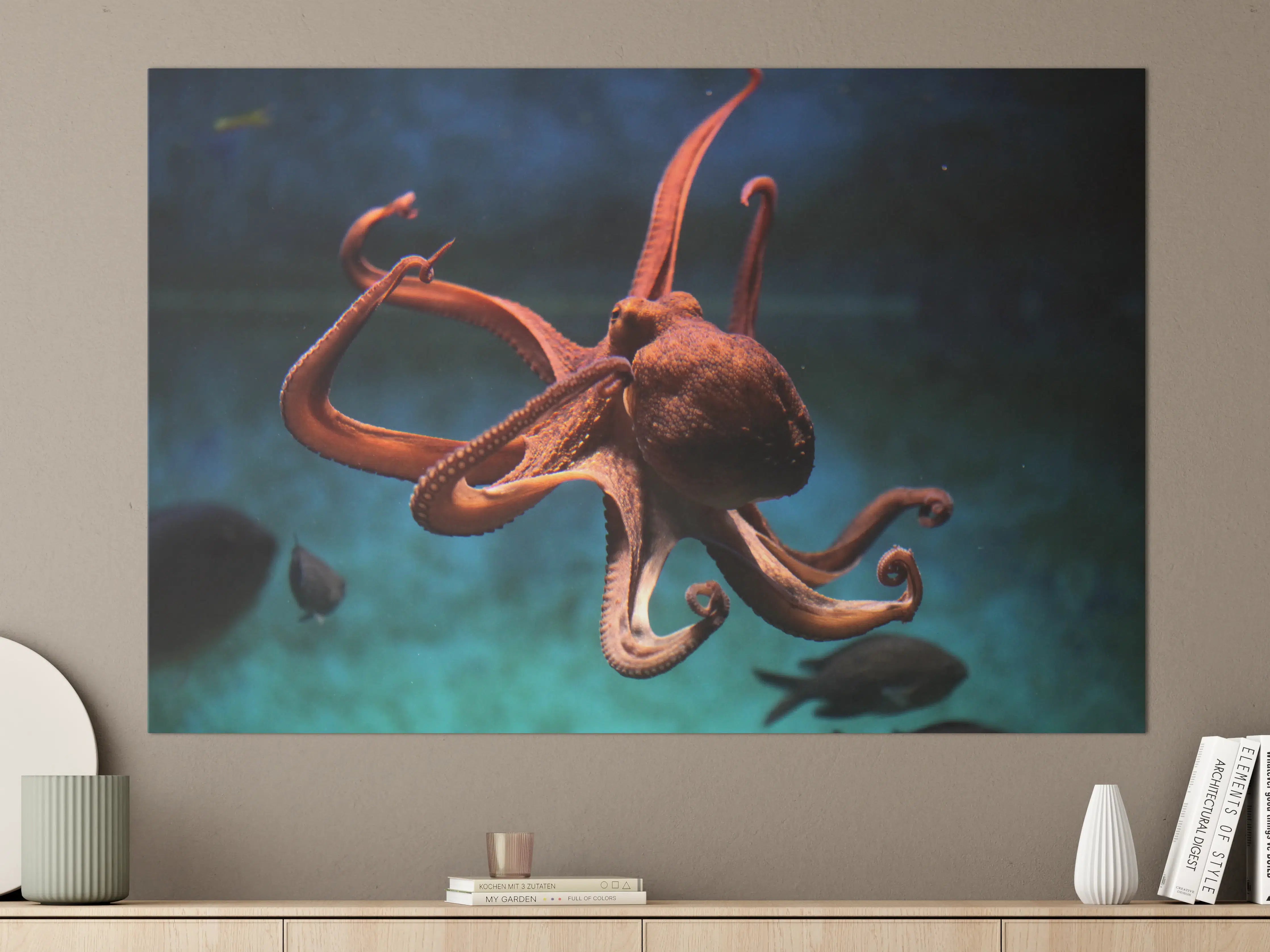 Große Wandbilder - rötlicher Oktopus Unterwasser 