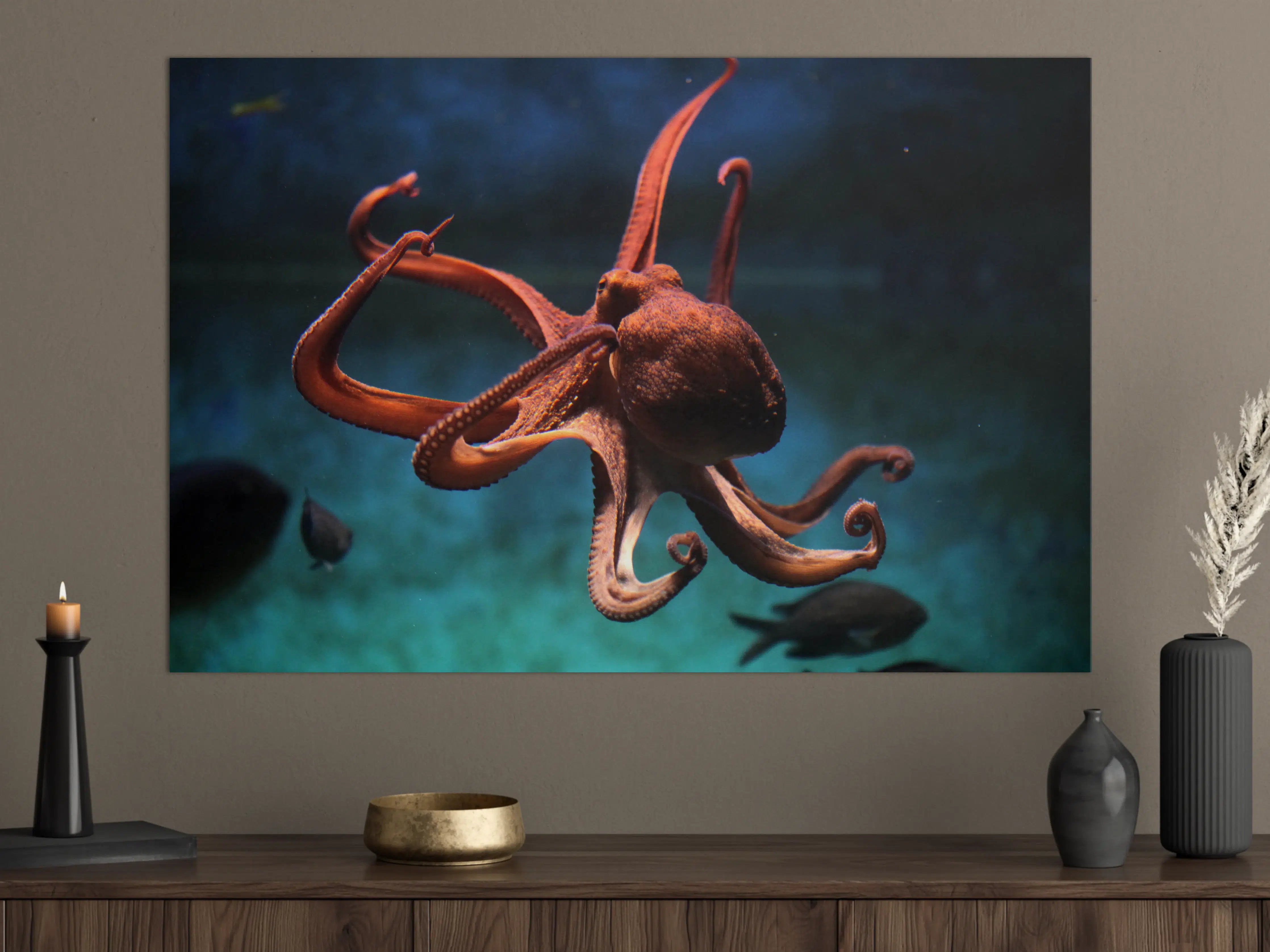 Große Wandbilder - rötlicher Oktopus Unterwasser 