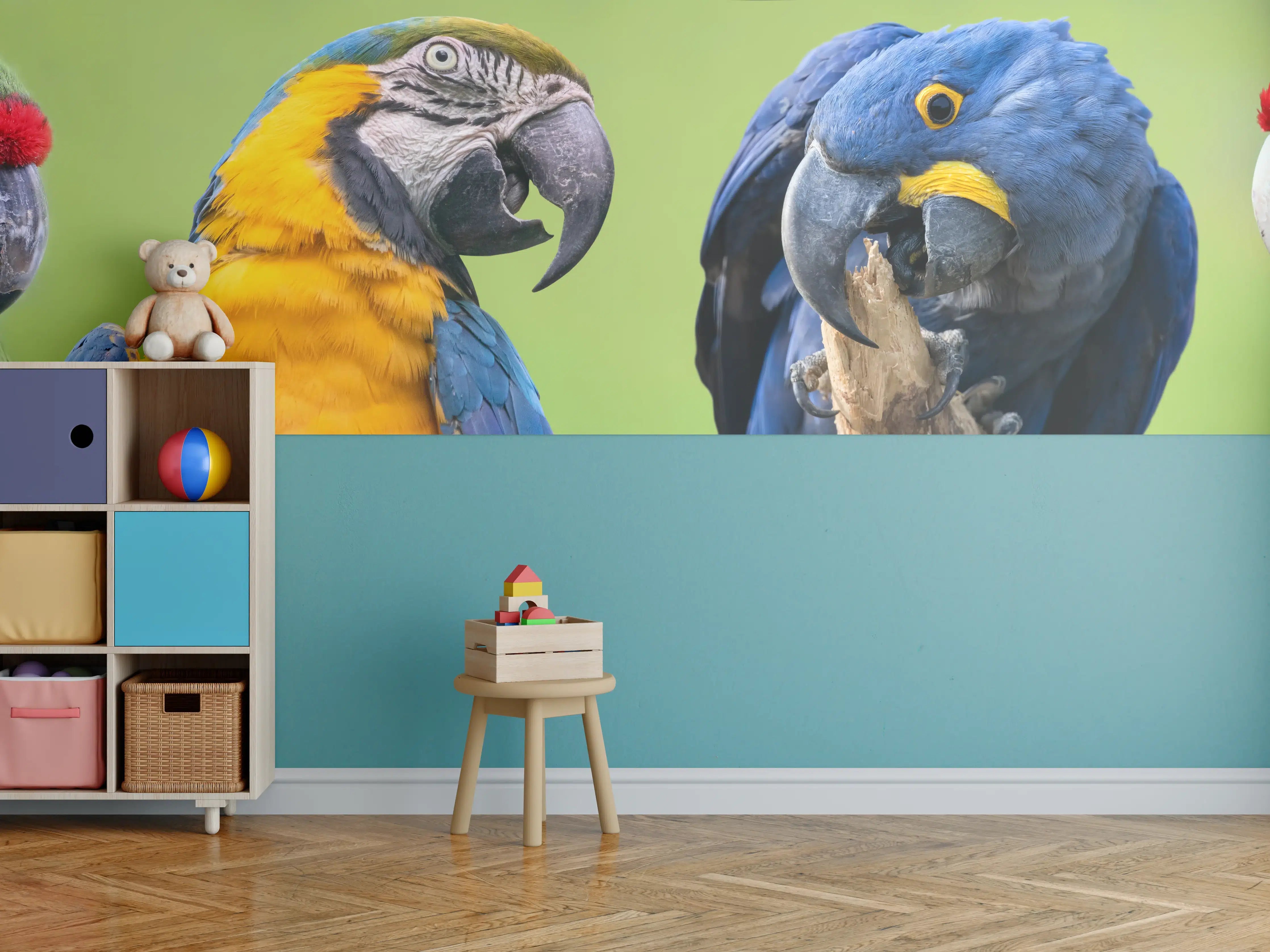 Kinderzimmer Wandgestaltung - Bunte Gruppe von Aras