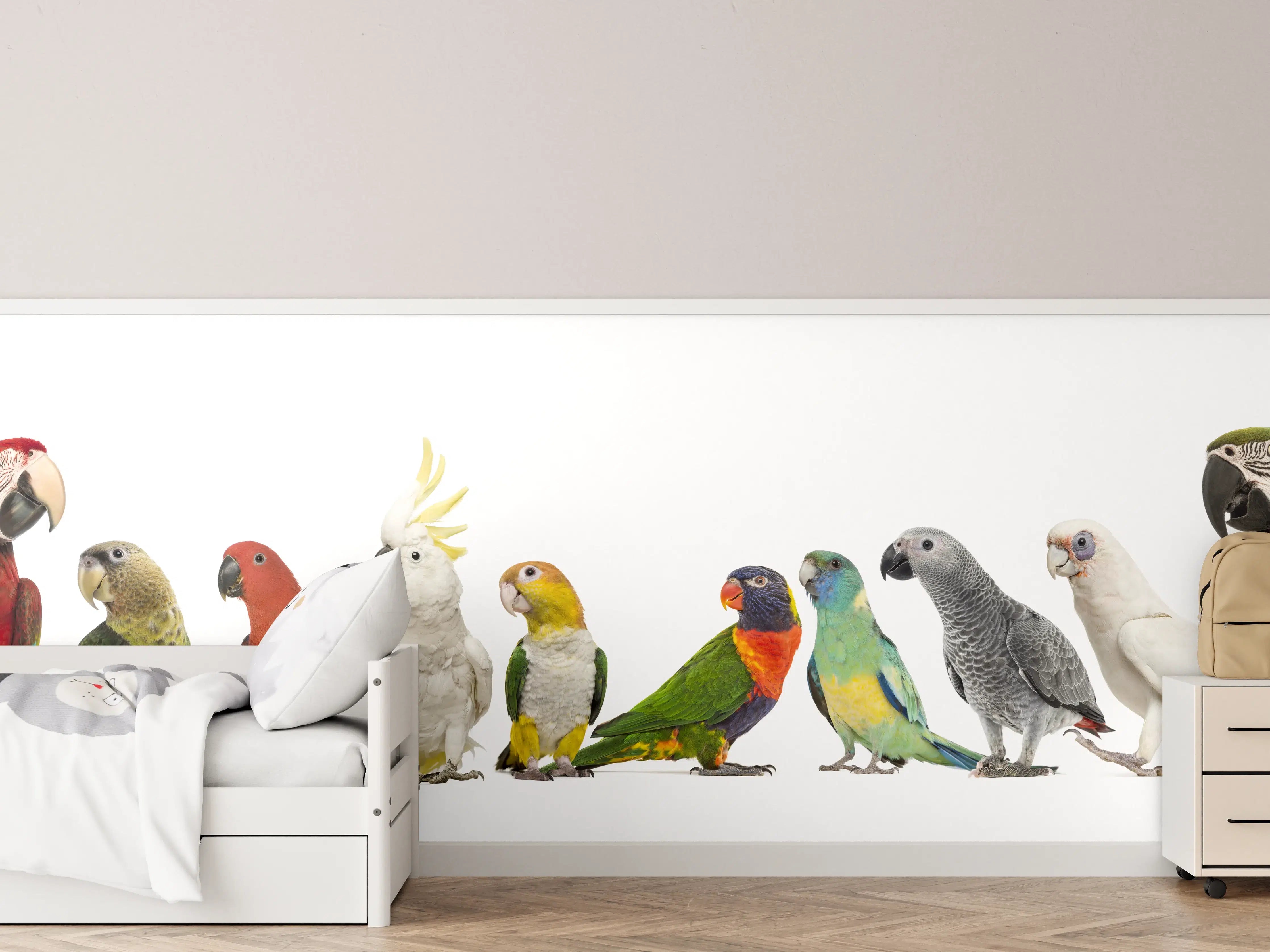 Kinderzimmer Wandgestaltung - Bunte Papageien und Vögel in natürlicher Szenerie