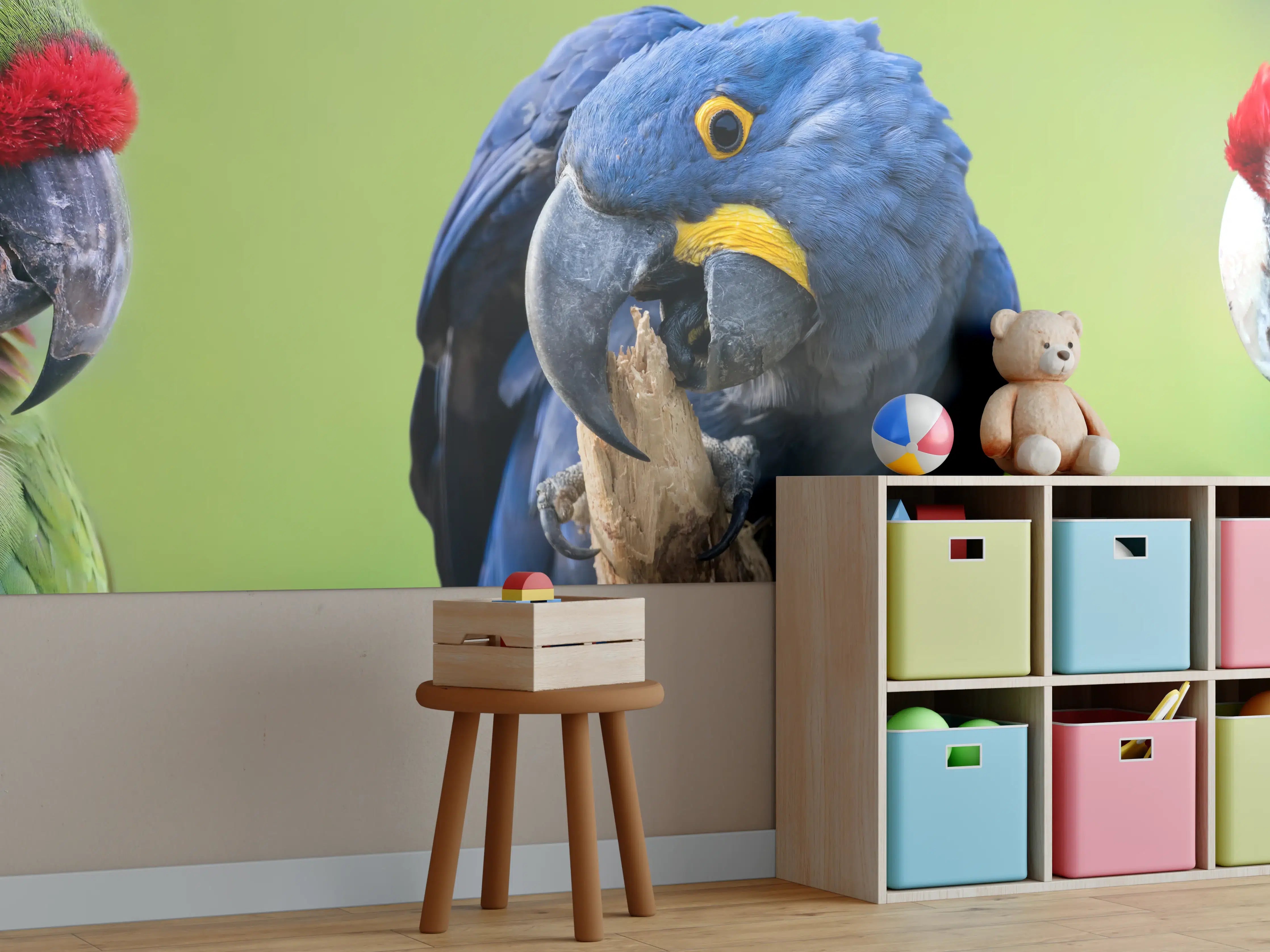 Kinderzimmer Wandgestaltung - Bunte Papageienvielfalt in freier Natur