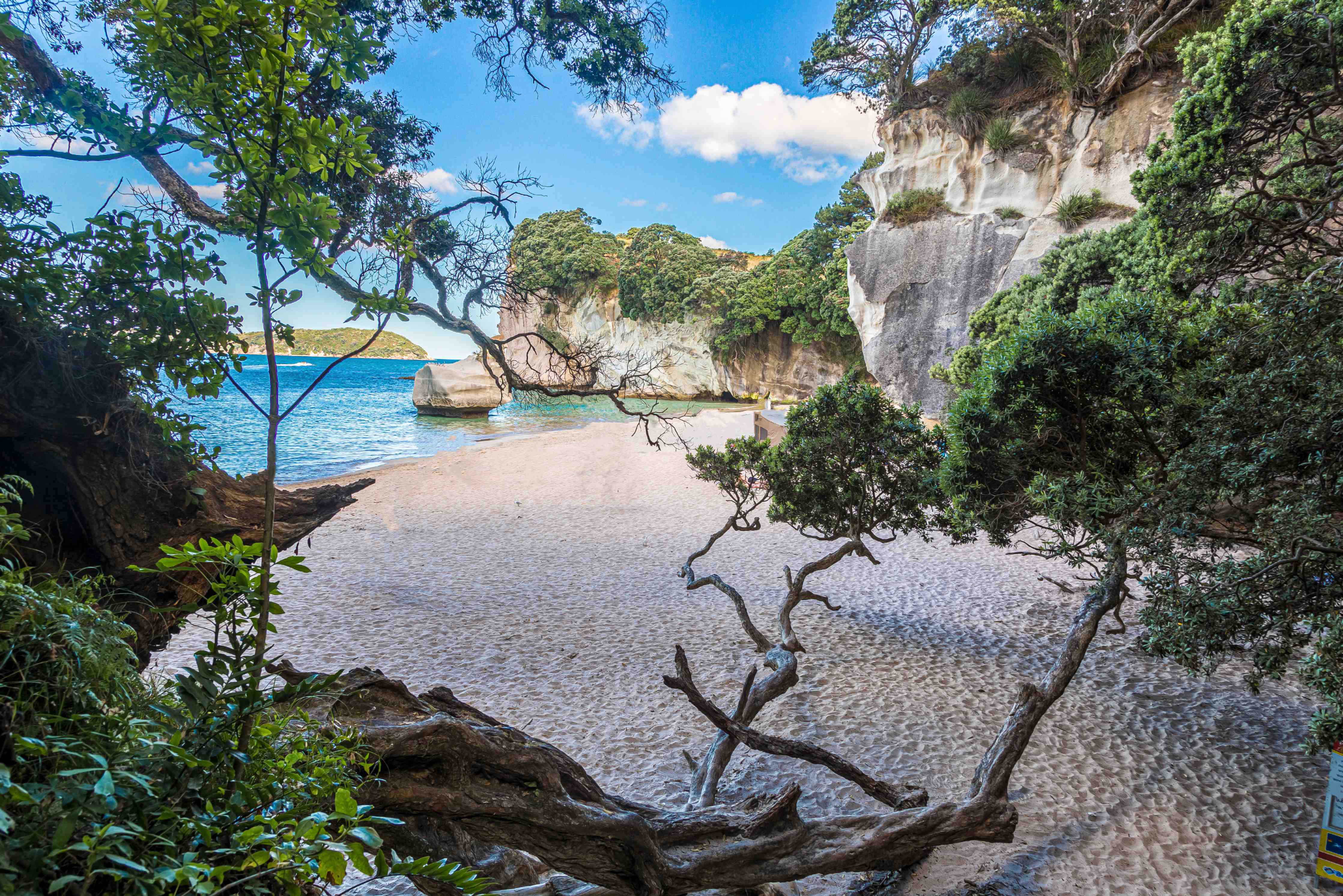 Kinderzimmer Wandgestaltung-Cathedral Cove Paradiesstrand
