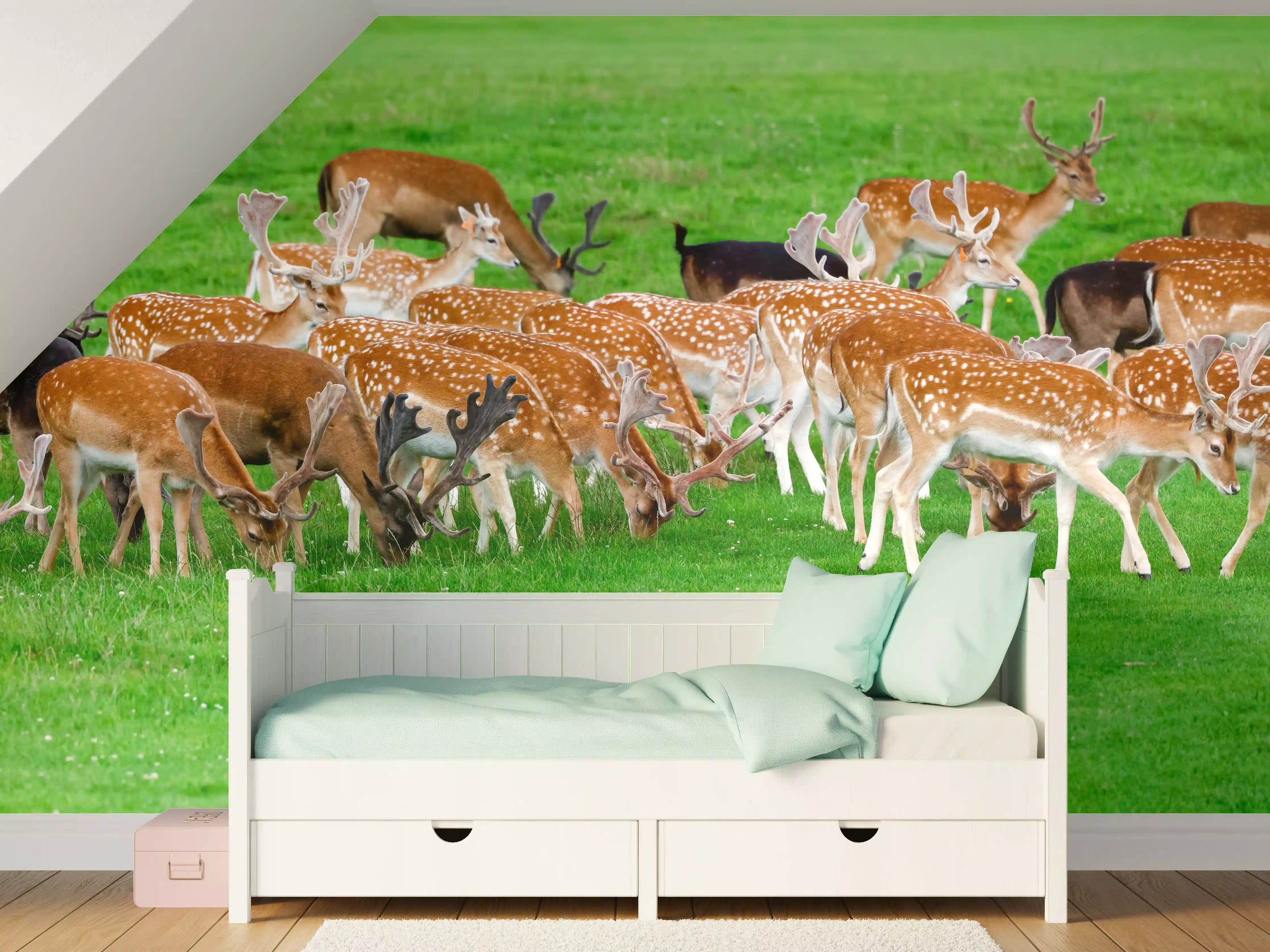 Kinderzimmer Wandgestaltung - Damwild-Herde auf grüner Wiese