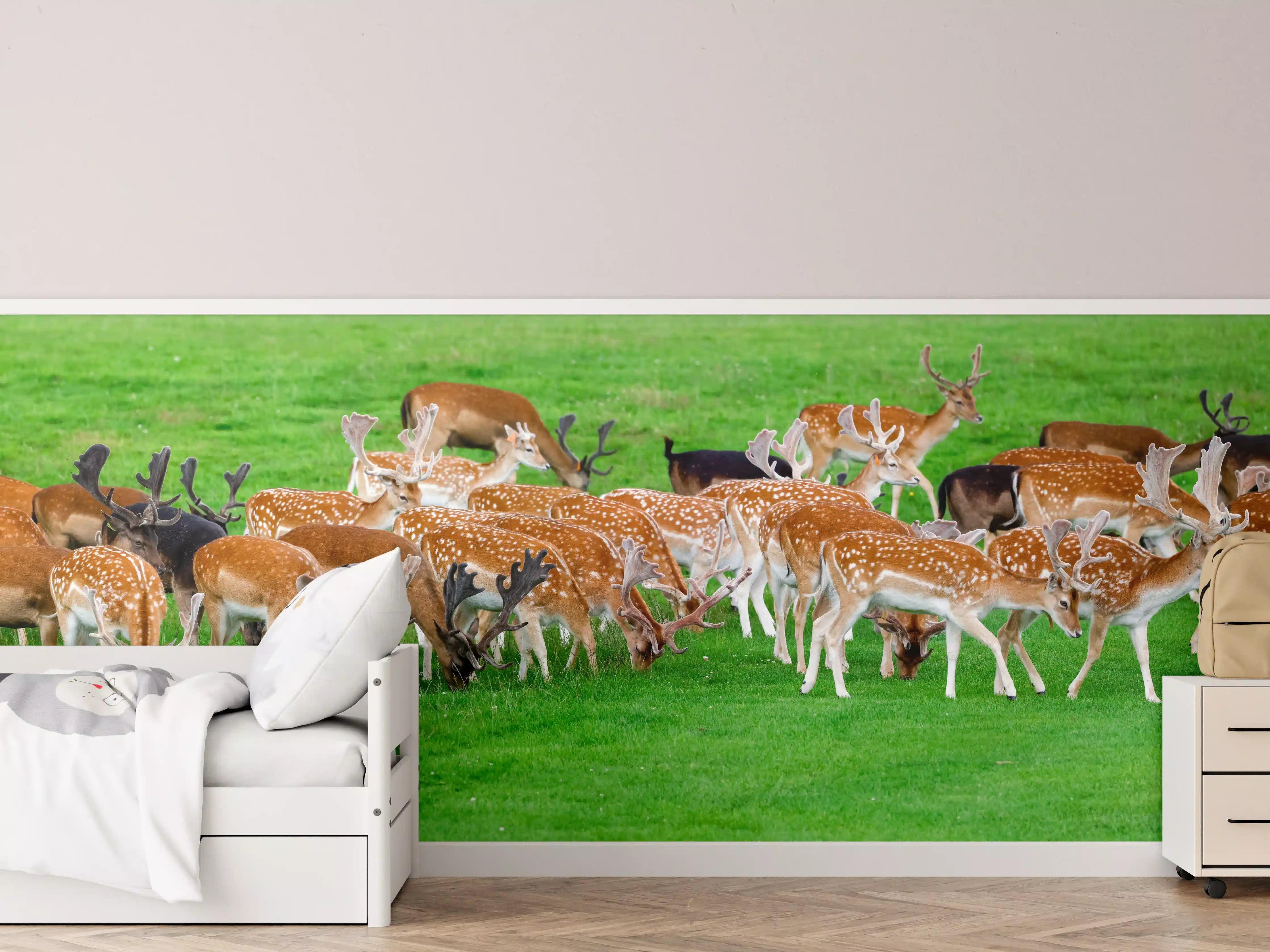 Kinderzimmer Wandgestaltung - Damwild-Herde auf grüner Wiese