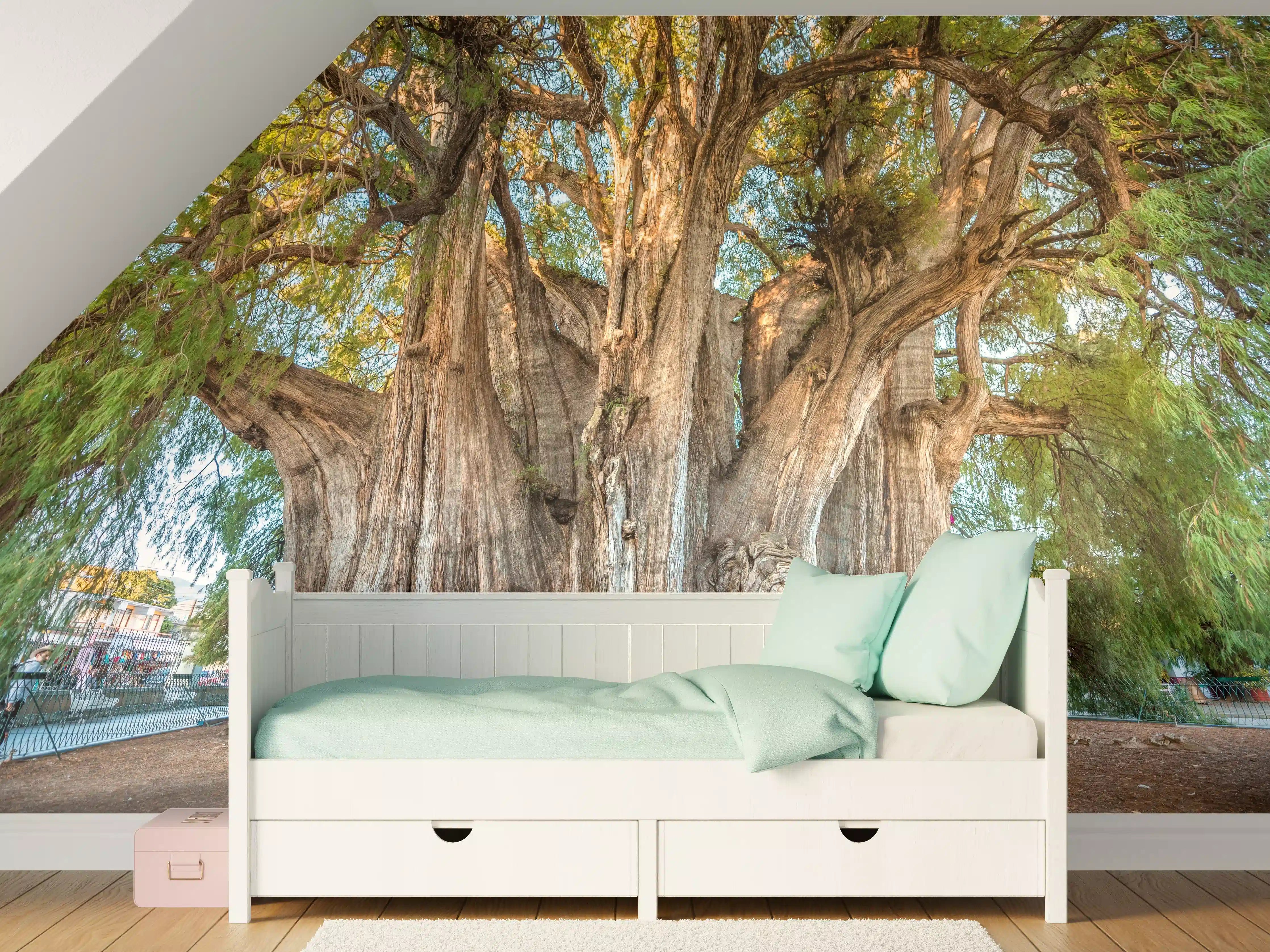Kinderzimmer Wandgestaltung - Der größte Baum der Welt - Mexico