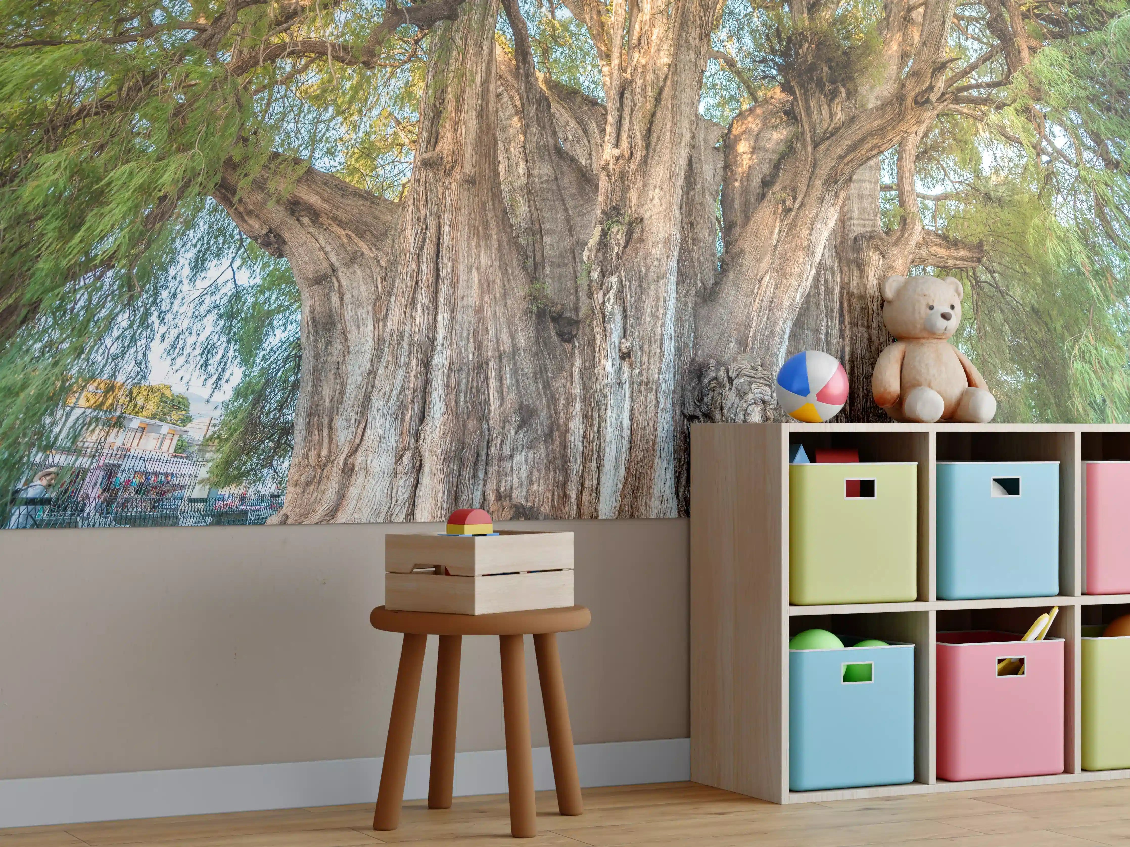 Kinderzimmer Wandgestaltung - Der größte Baum der Welt - Mexico