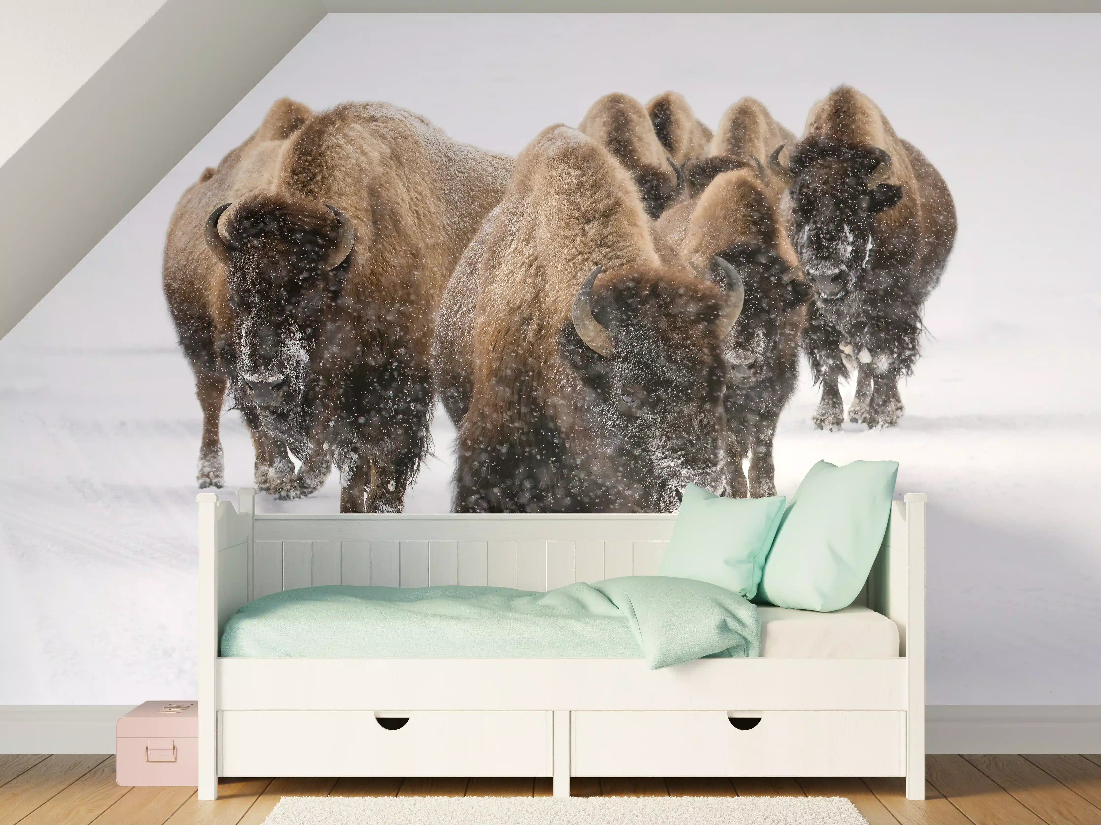 Kinderzimmer Wandgestaltung - Eine Bison Herde