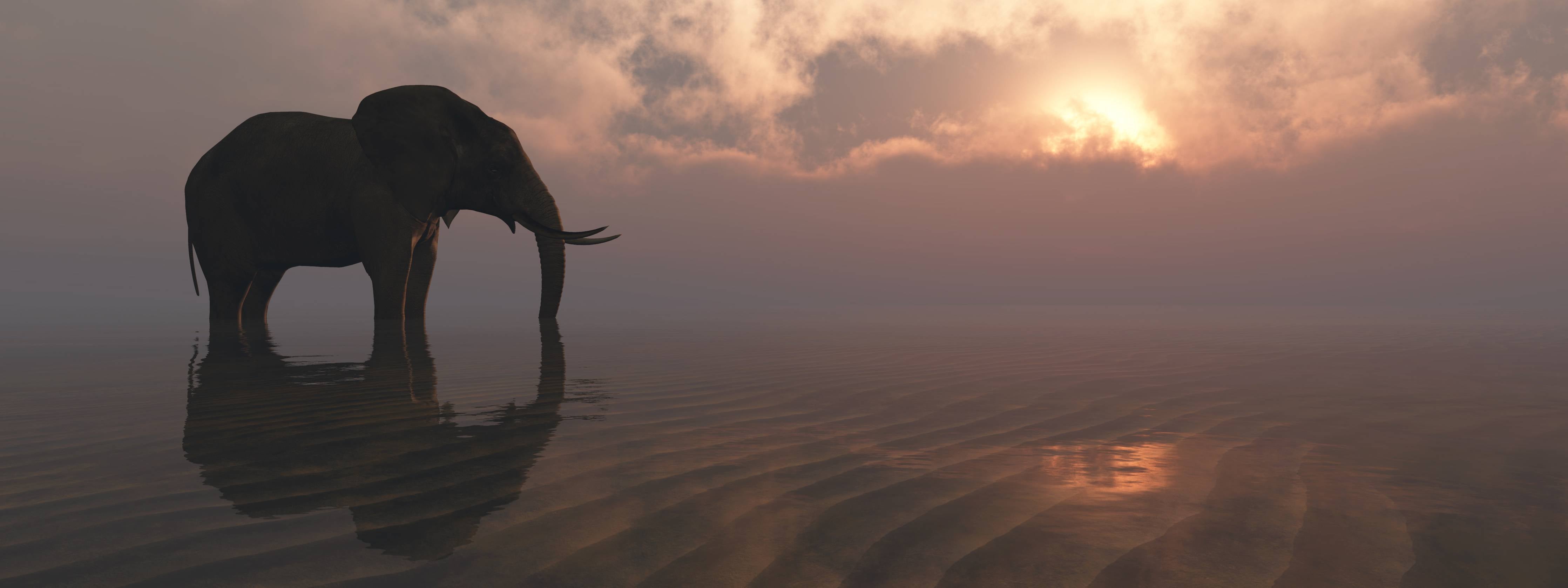 Kinderzimmer Wandgestaltung-Eleganter Elefant im Sonnenuntergang