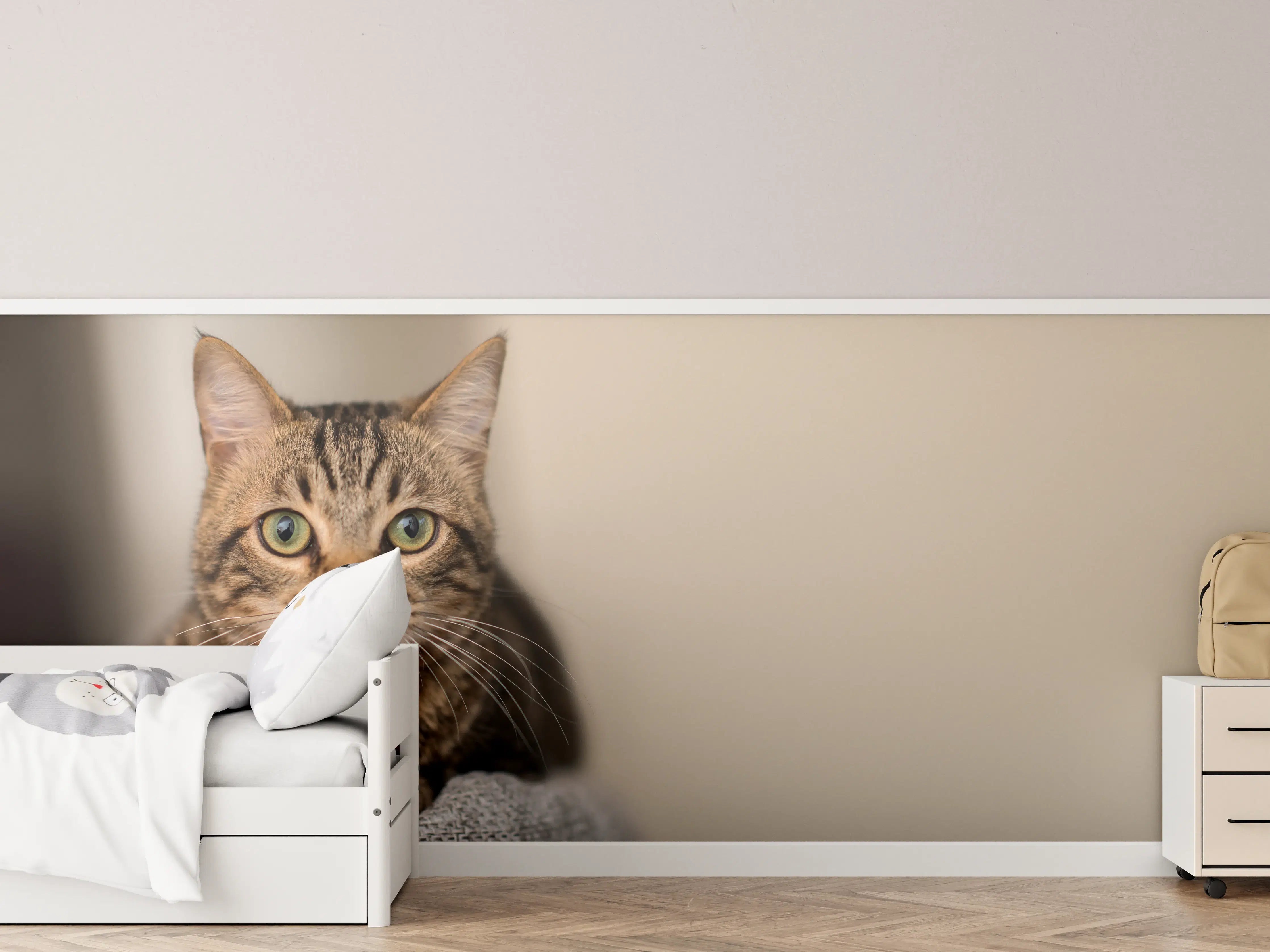 Kinderzimmer Wandgestaltung - Entspannte Hauskatze in Beige-Braun