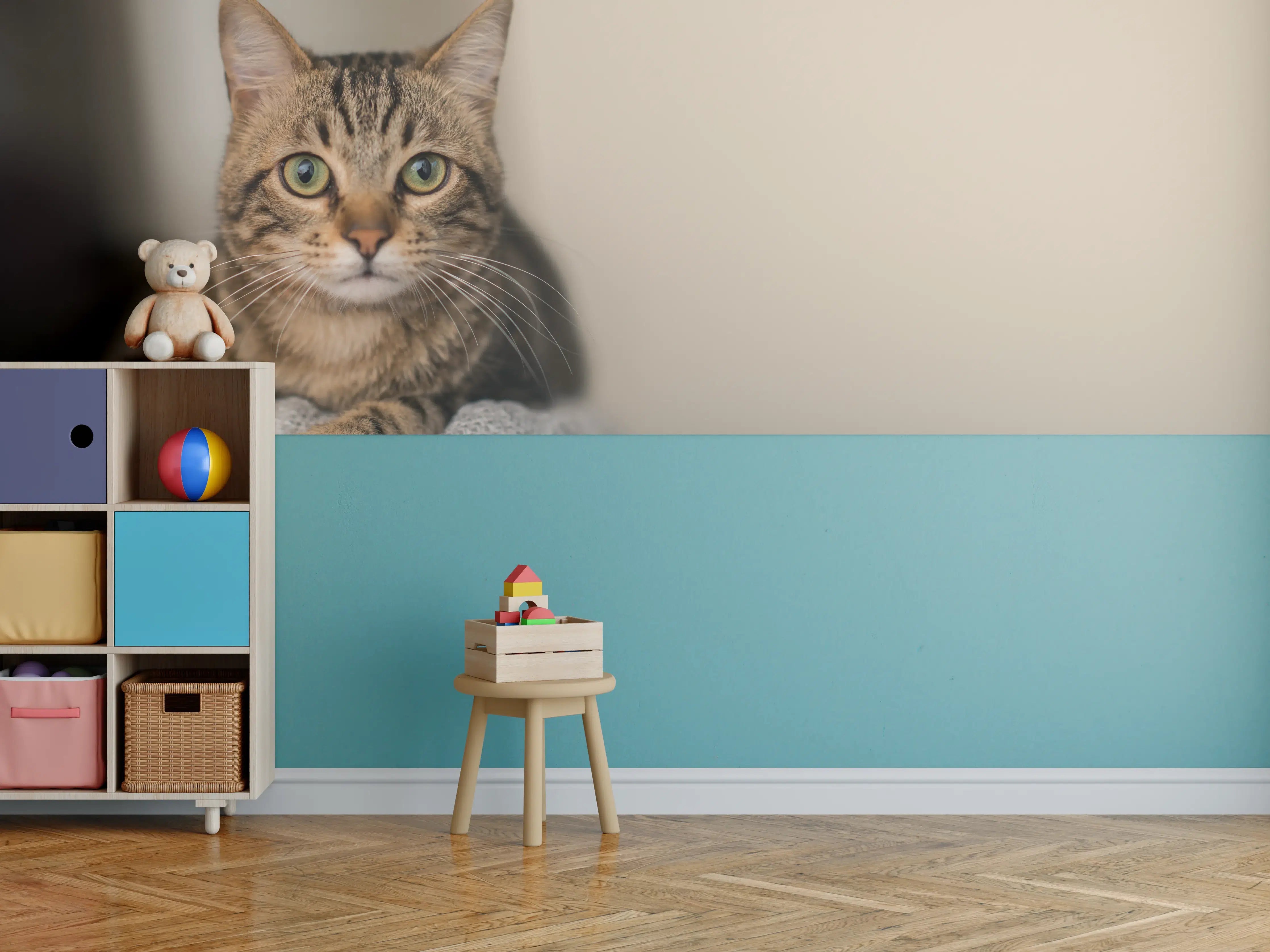 Kinderzimmer Wandgestaltung - Entspannte Hauskatze in Beige-Braun