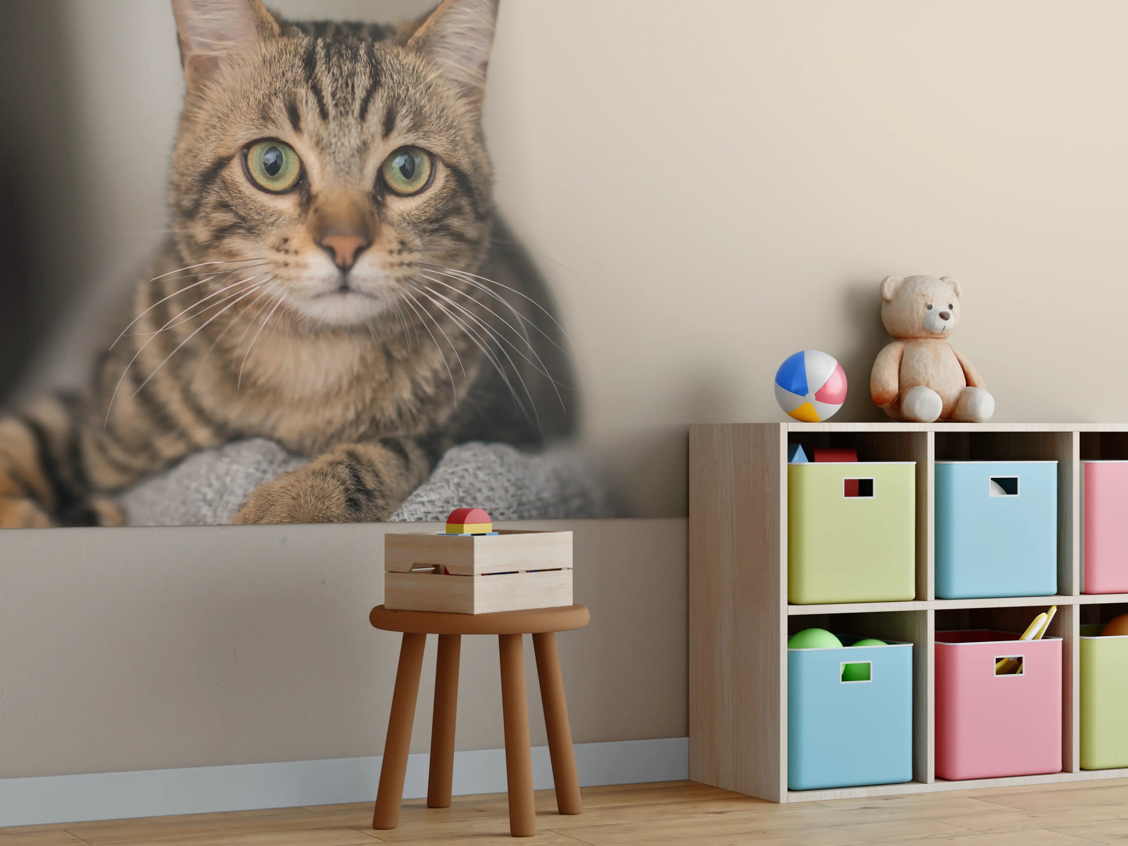 Kinderzimmer Wandgestaltung - Entspannte Hauskatze in Beige-Braun
