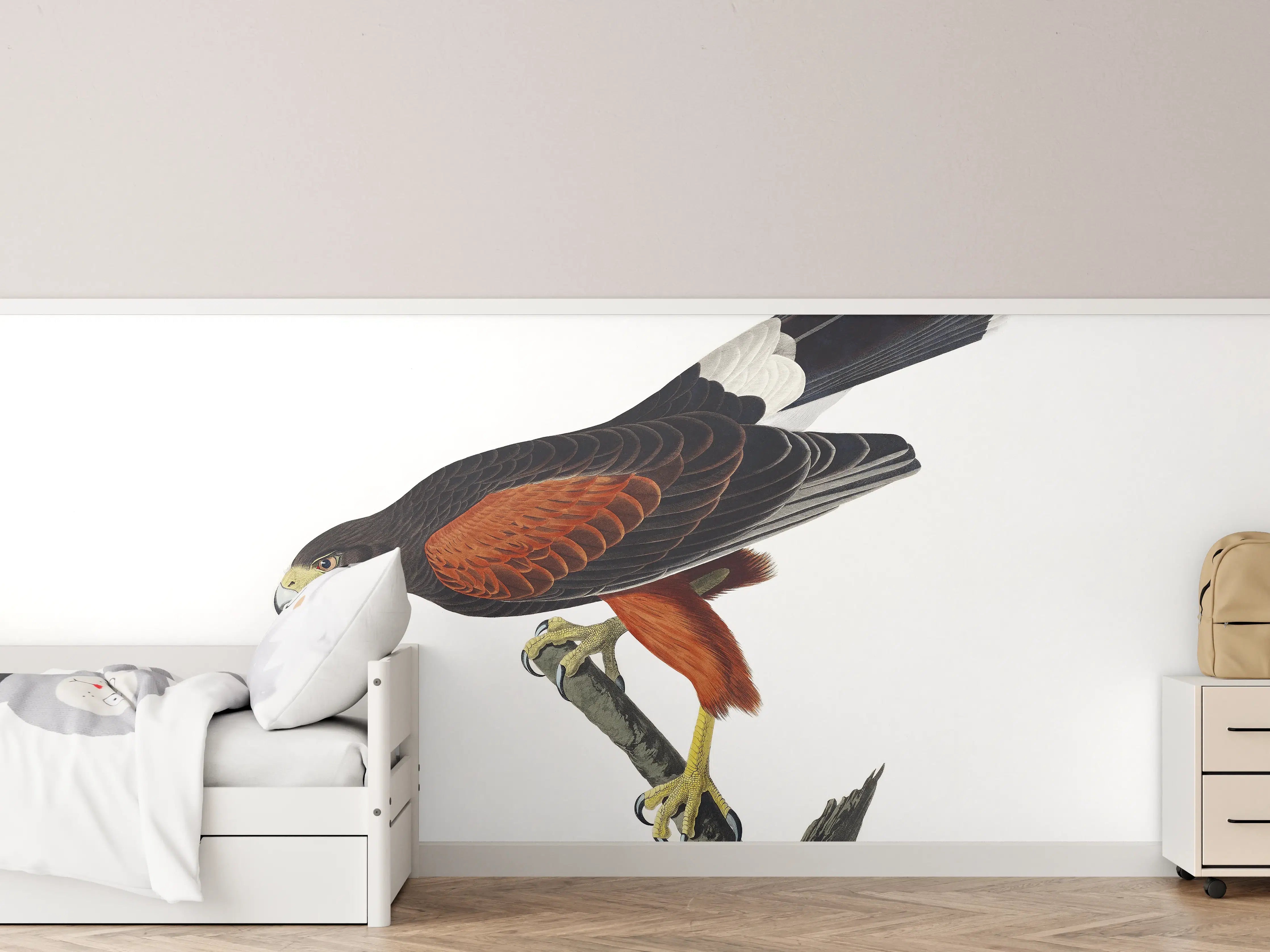 Kinderzimmer Wandgestaltung - Falken Portrait - John James Audubon