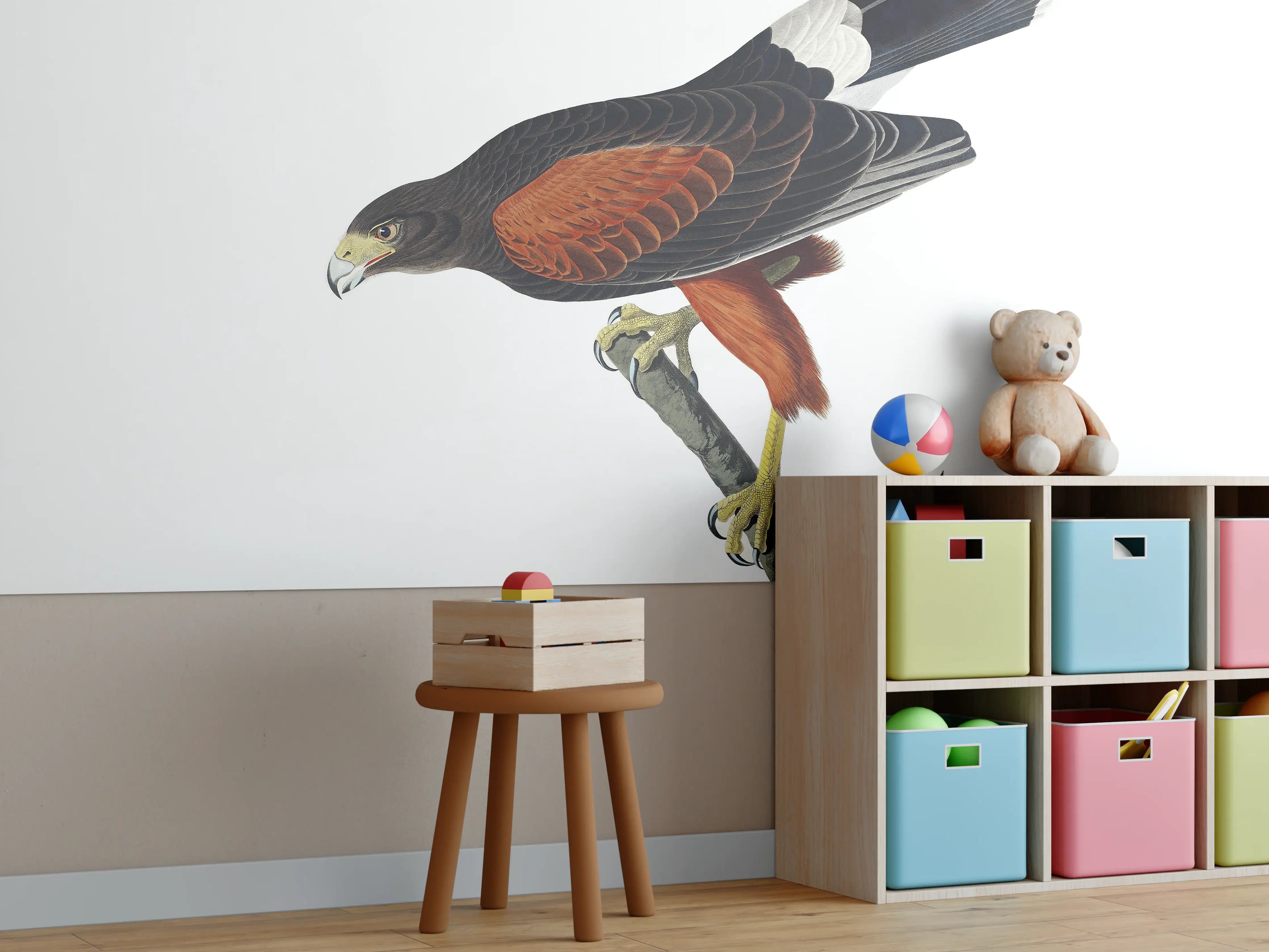 Kinderzimmer Wandgestaltung - Falken Portrait - John James Audubon