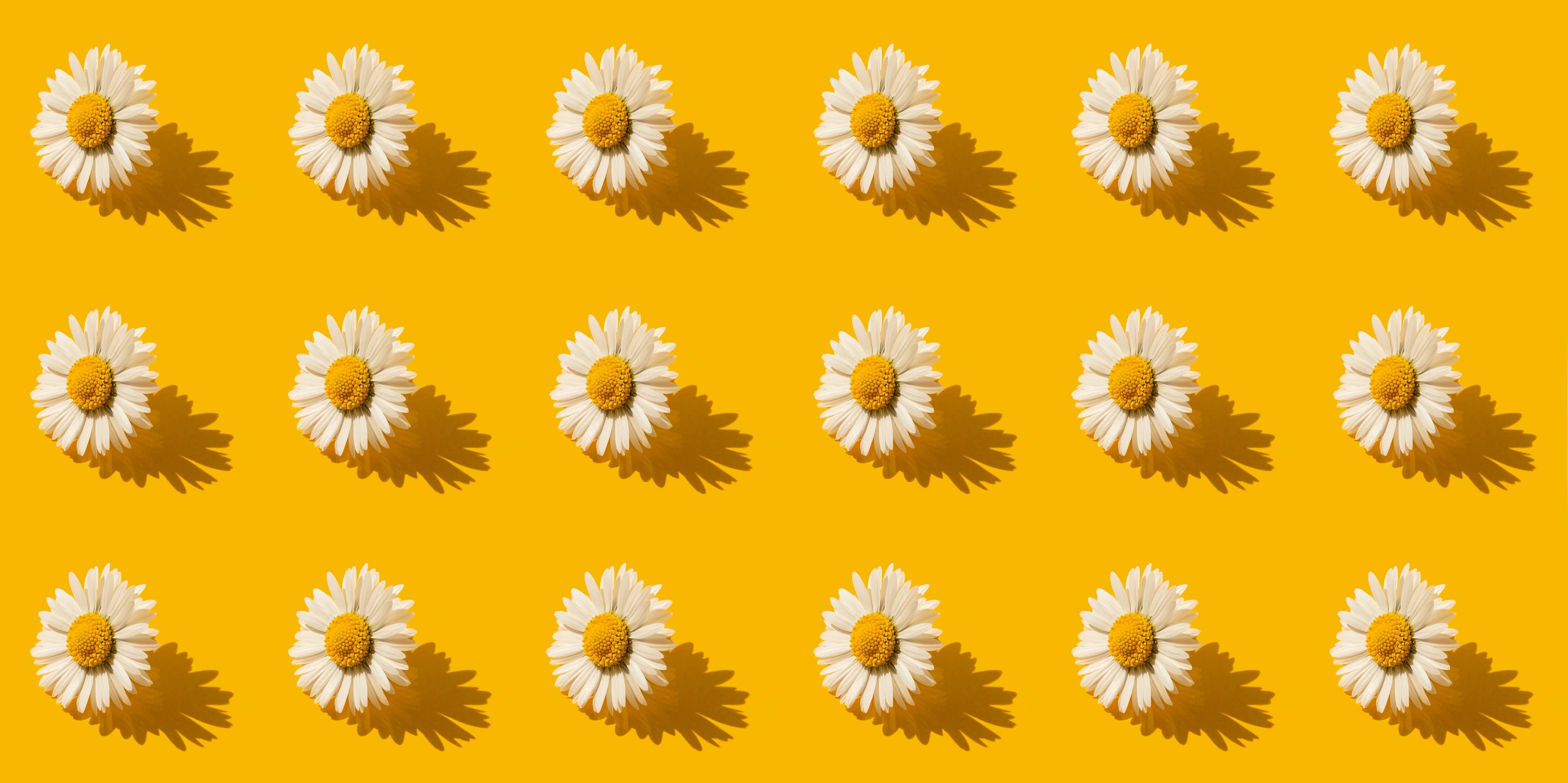 Kinderzimmer Wandgestaltung-Gänseblümchen Muster auf gelbem Hintergrund