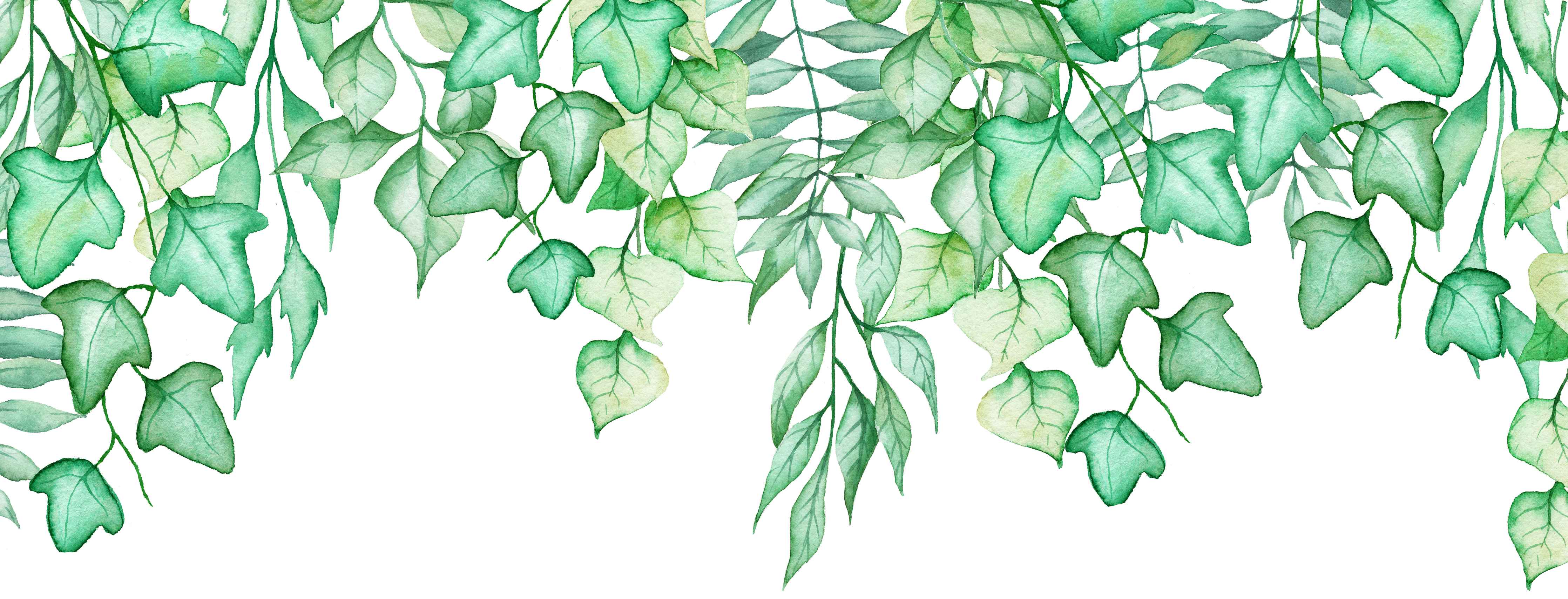 Kinderzimmer Wandgestaltung-Handgezeichneten Aquarellblättern und Efeu