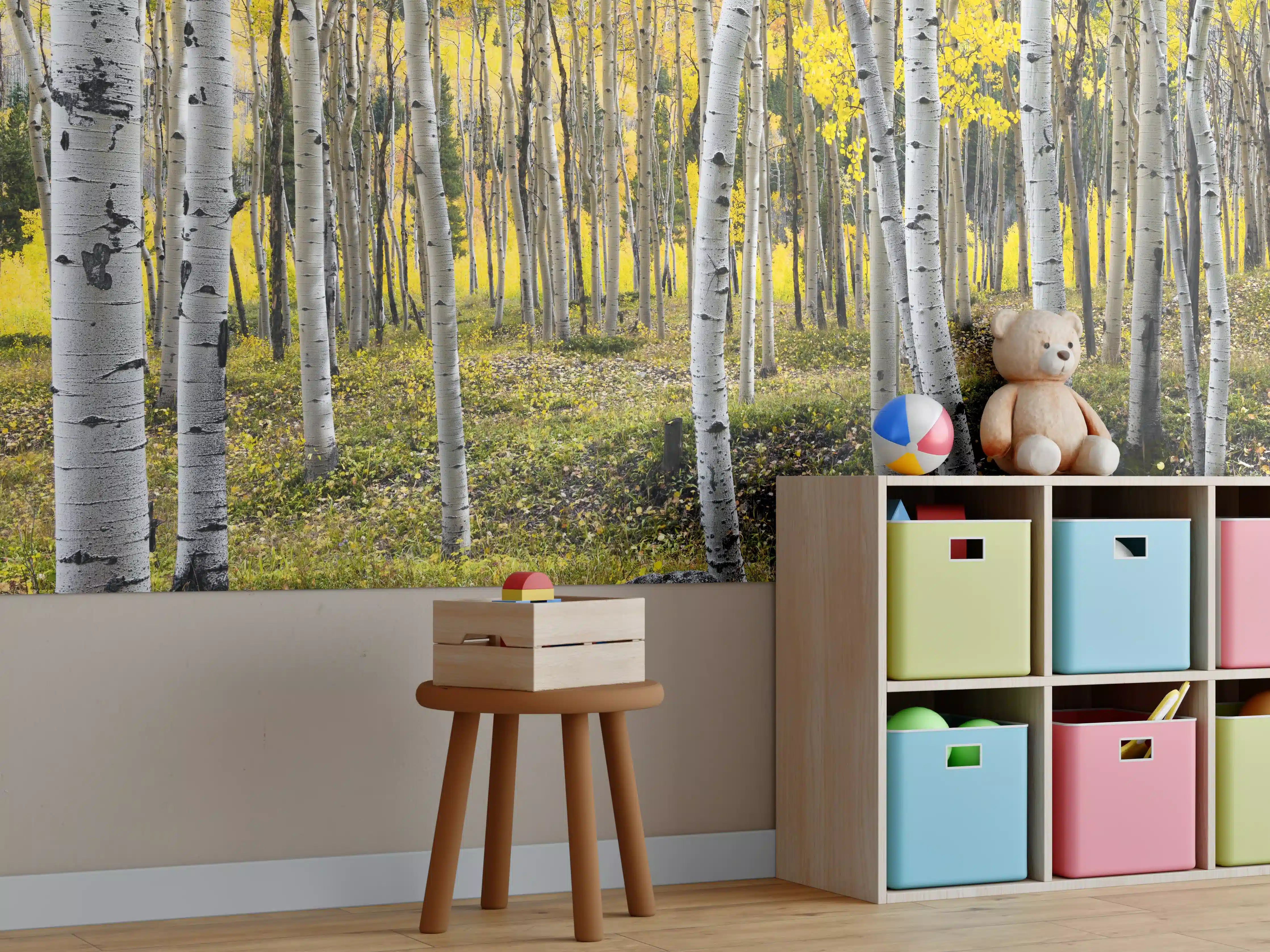 Kinderzimmer Wandgestaltung - Helle Birken im herbstlichen Wald