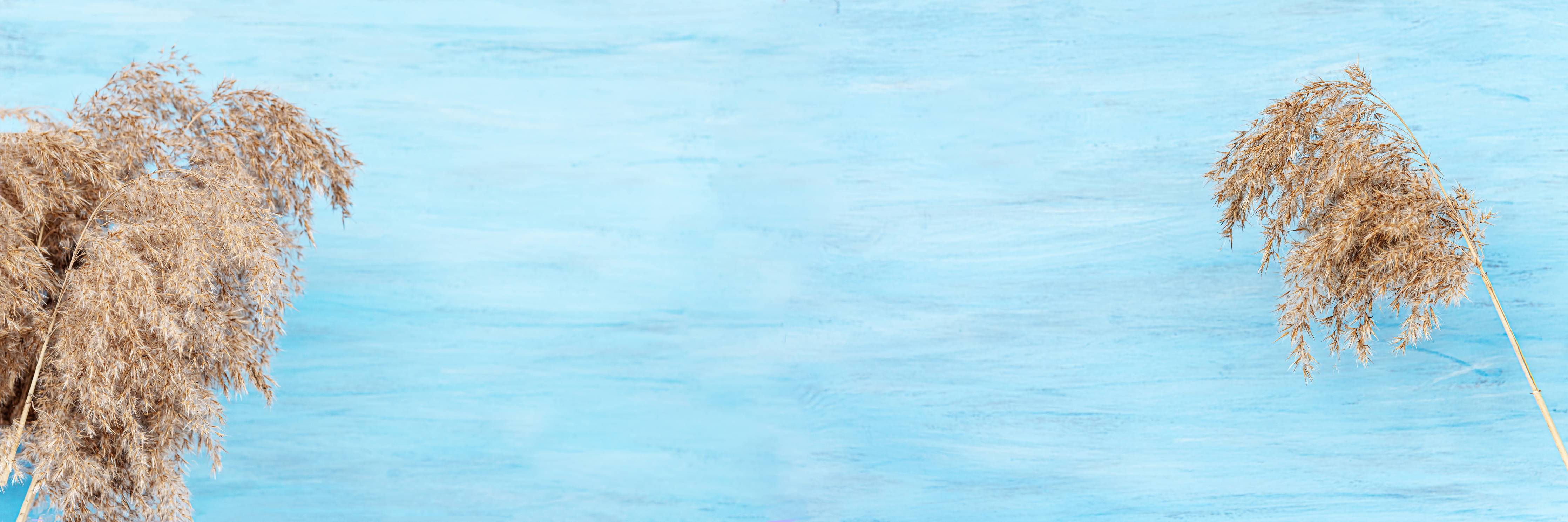 Kinderzimmer Wandgestaltung-Himmel in sanftem Blau mit Wolken