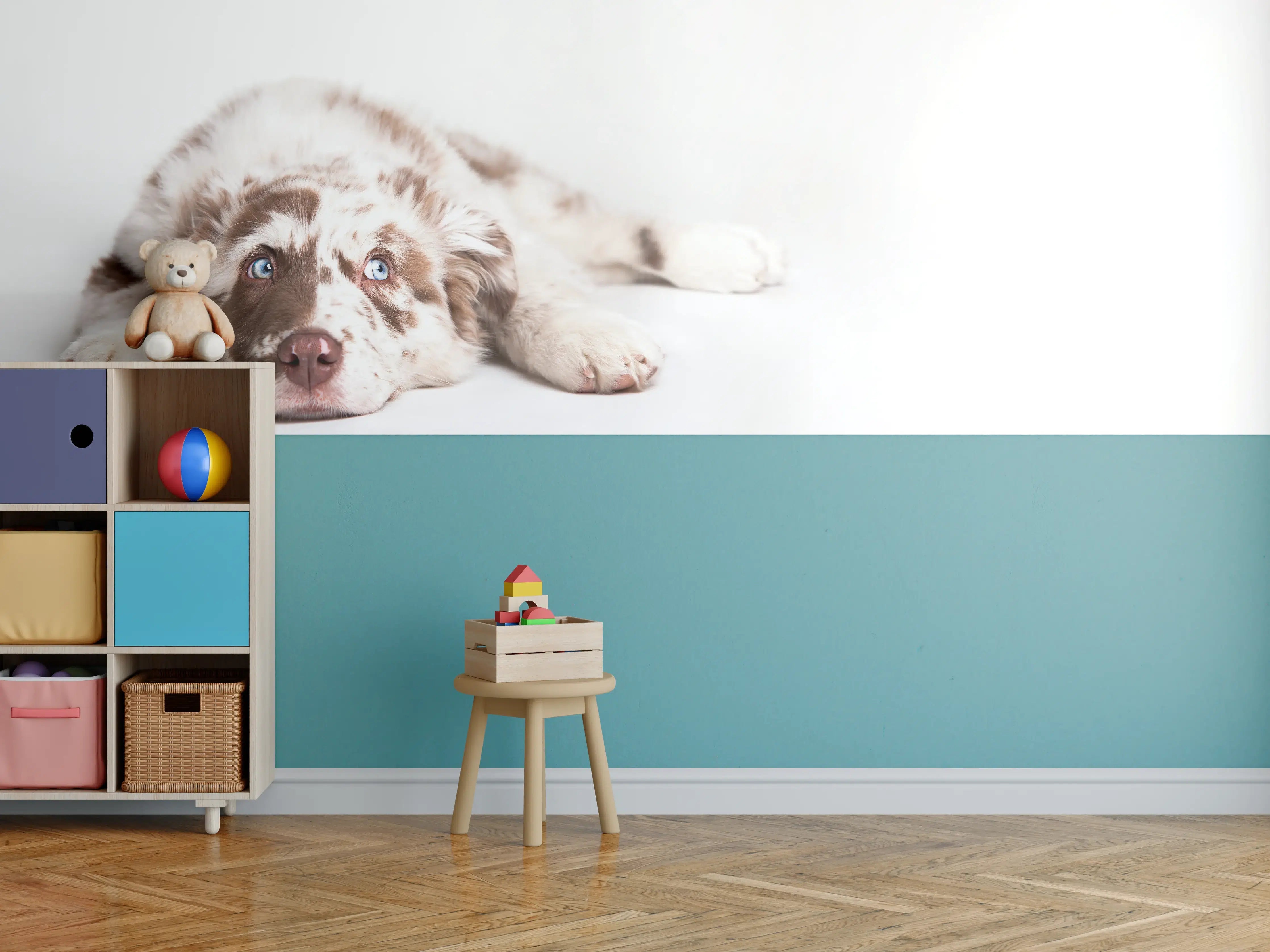 Kinderzimmer Wandgestaltung - Hunde Portrait - Australian Shepherd