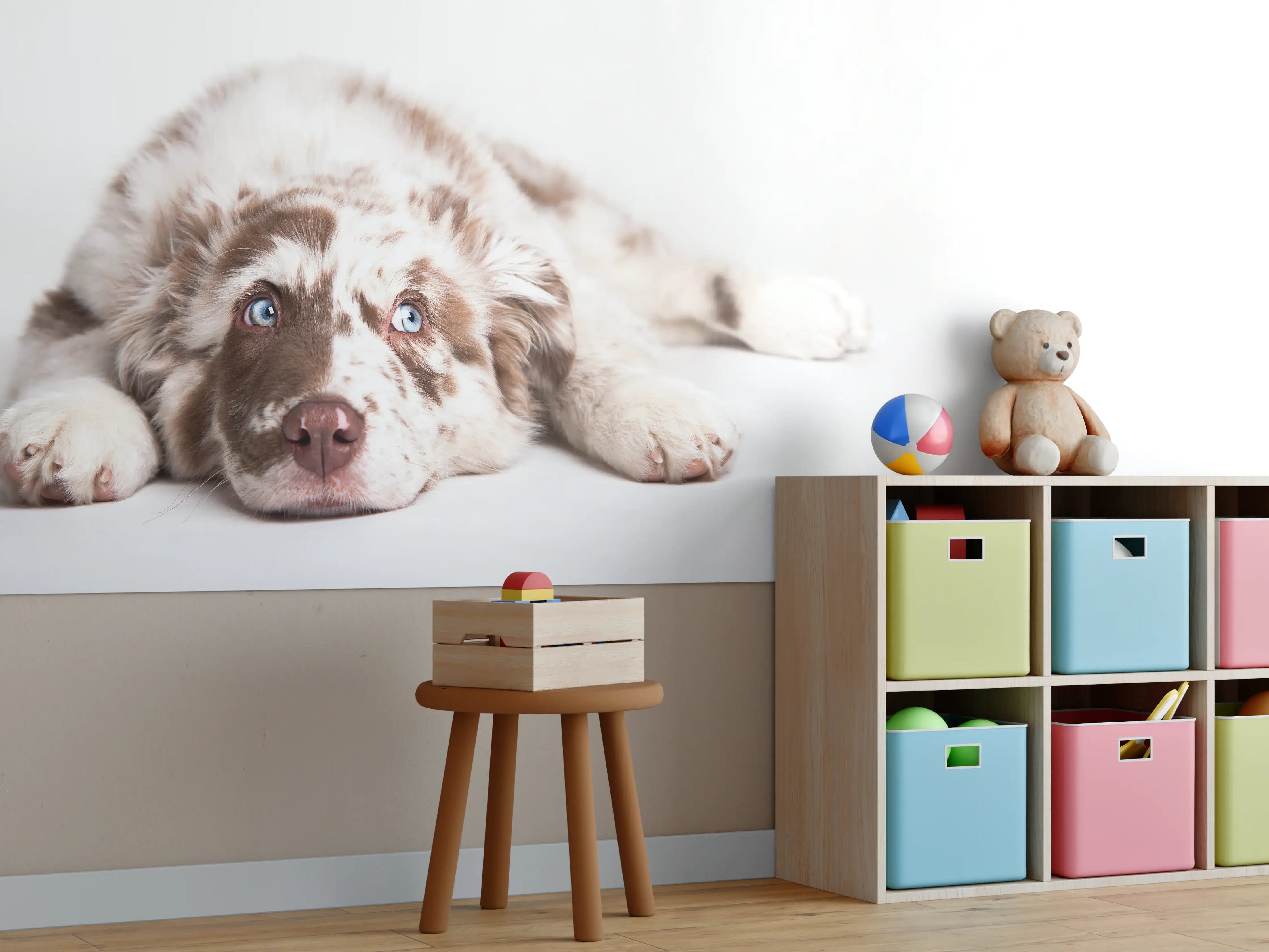 Kinderzimmer Wandgestaltung - Hunde Portrait - Australian Shepherd